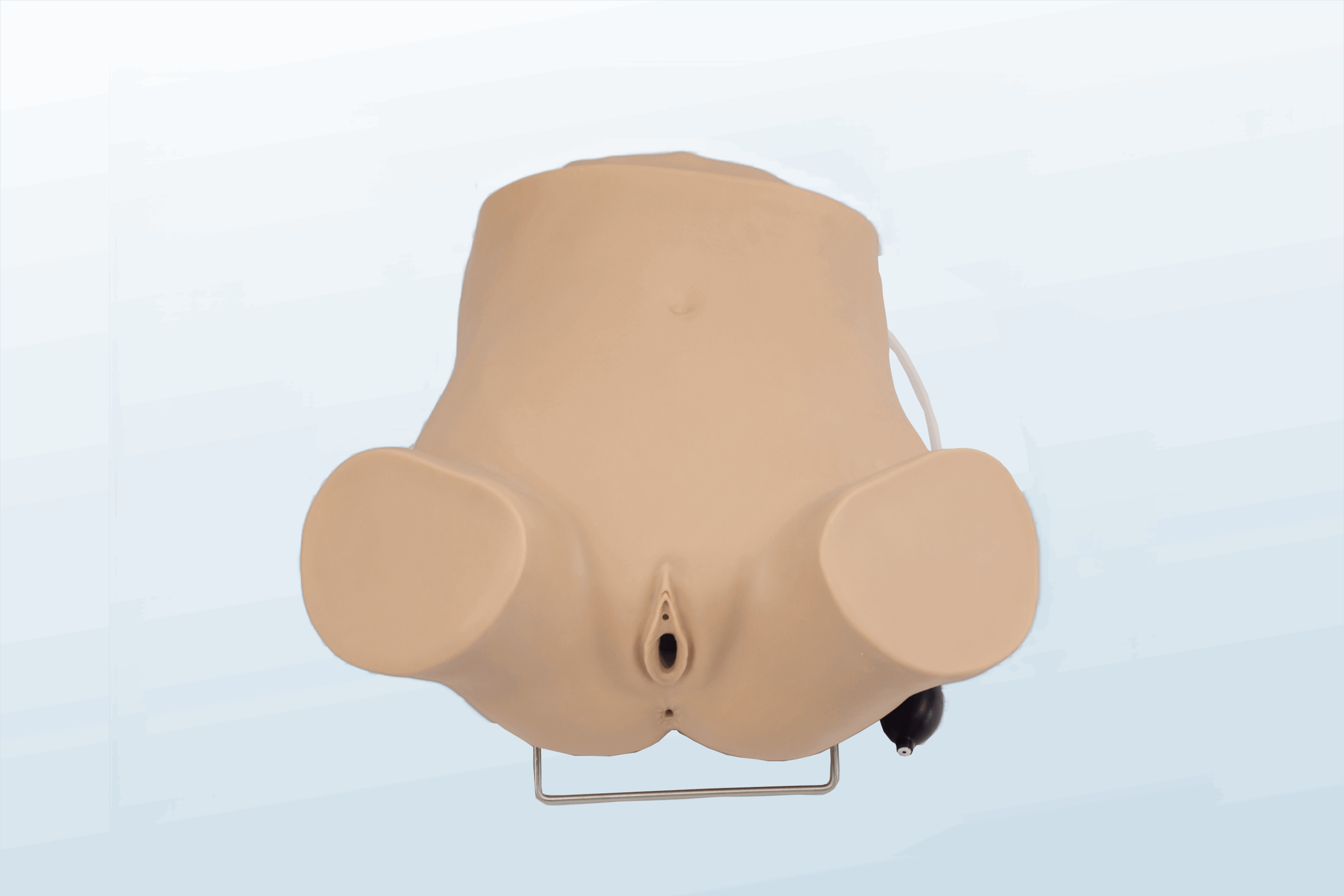 FREE SHIPPING:  Advanced Gynecologic Examination Trainer