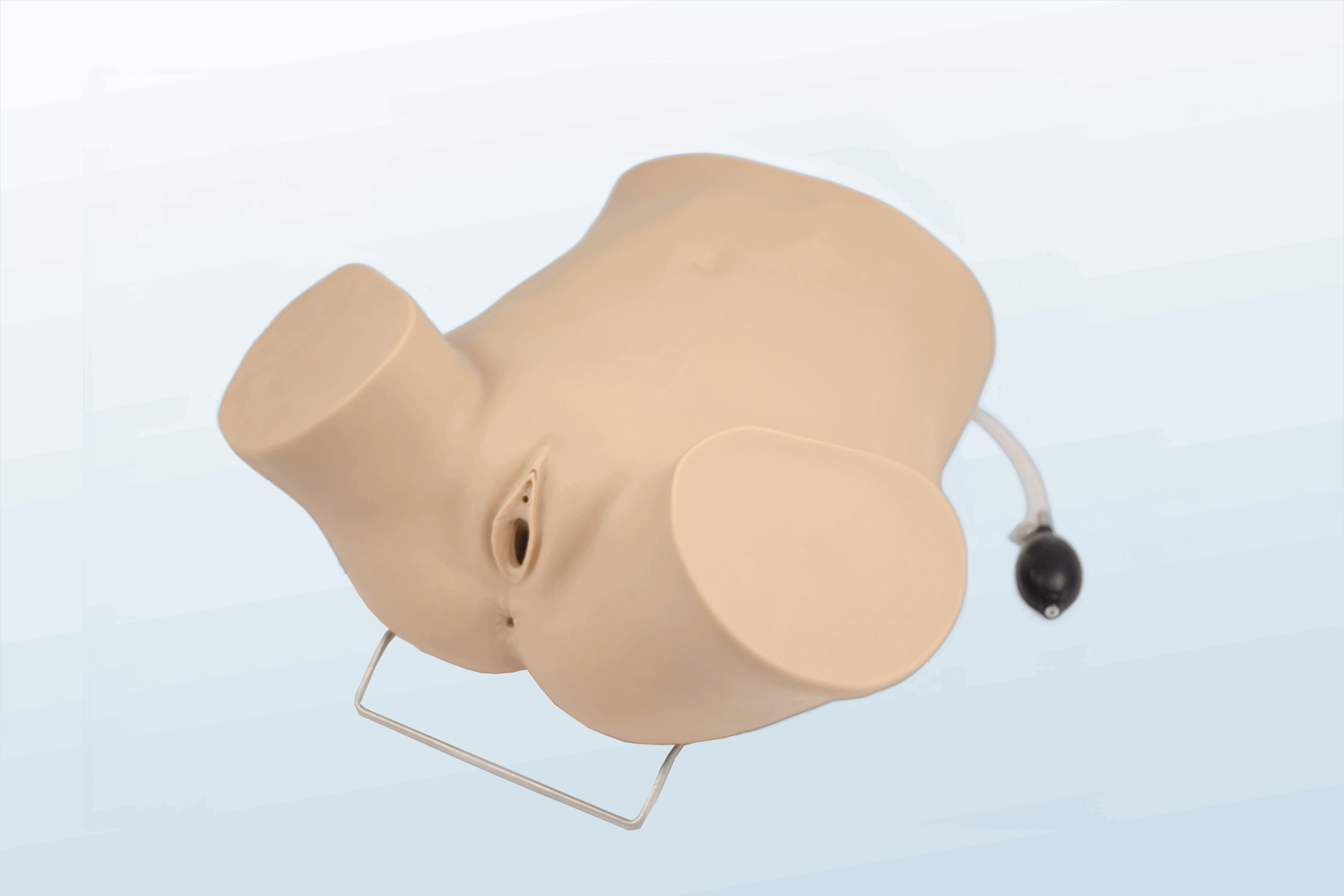 FREE SHIPPING:  Advanced Gynecologic Skills Simulator