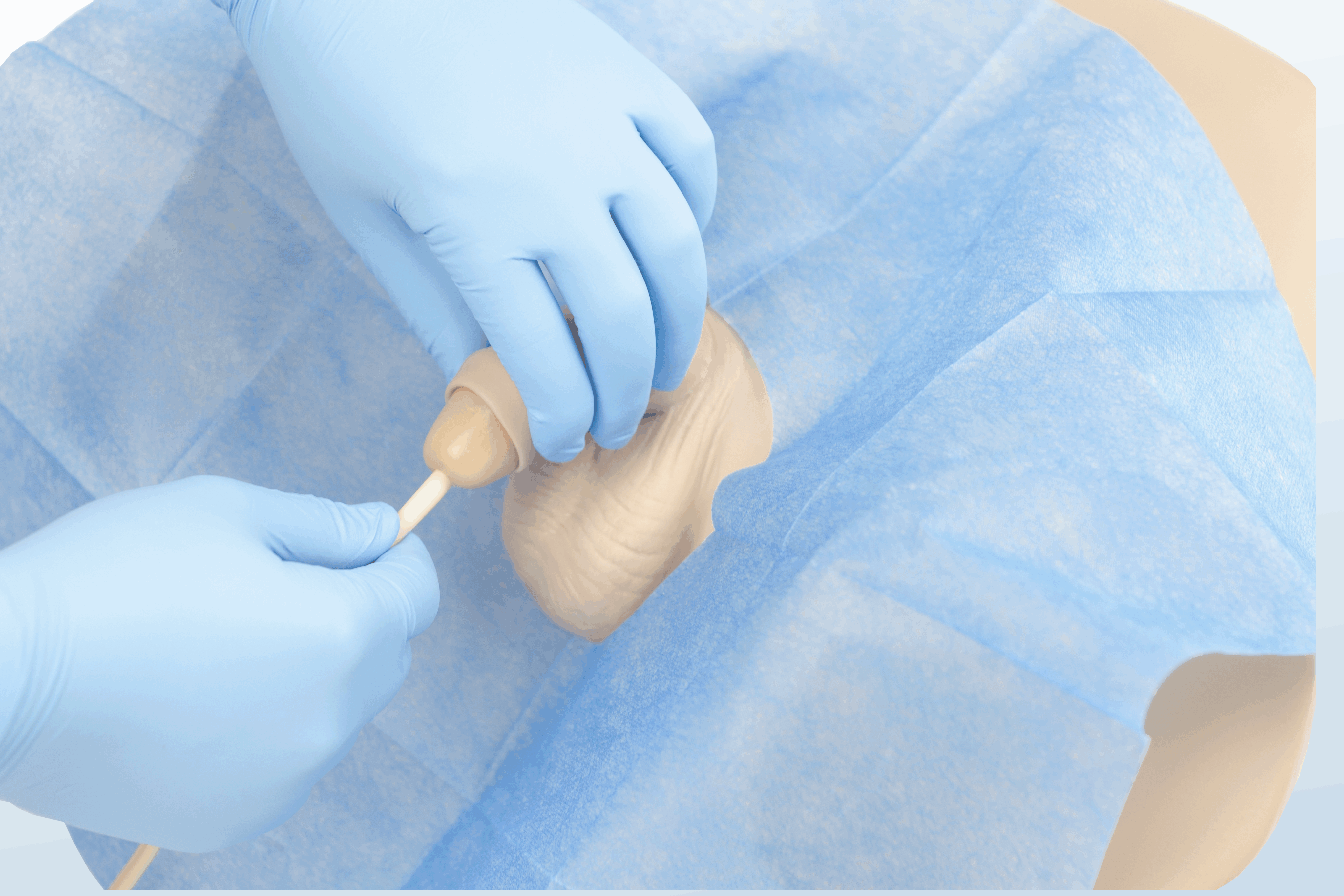 FREE SHIPPING:  Male Catheterization Manikin