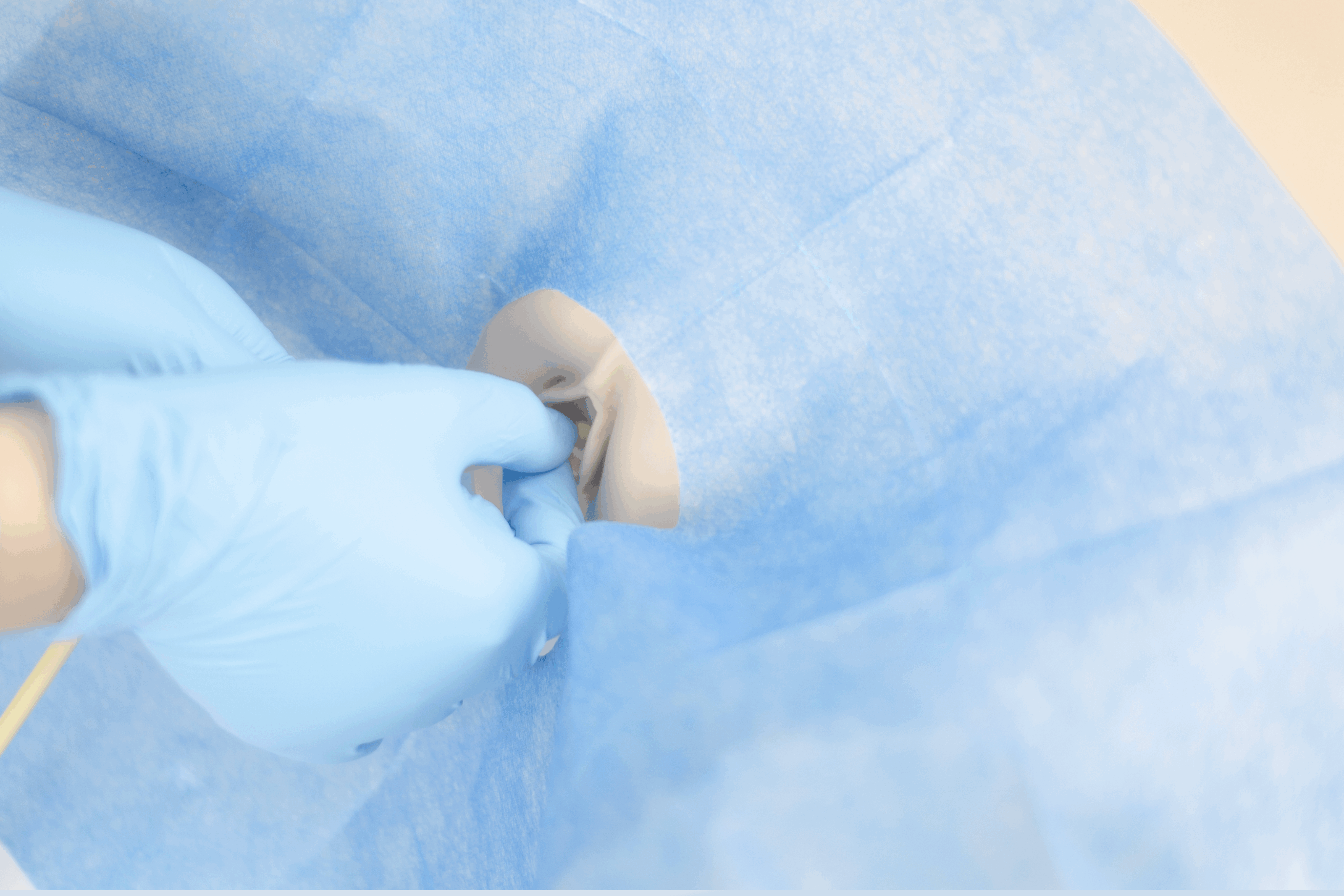 FREE SHIPPING:  Female Catheterization Trainer