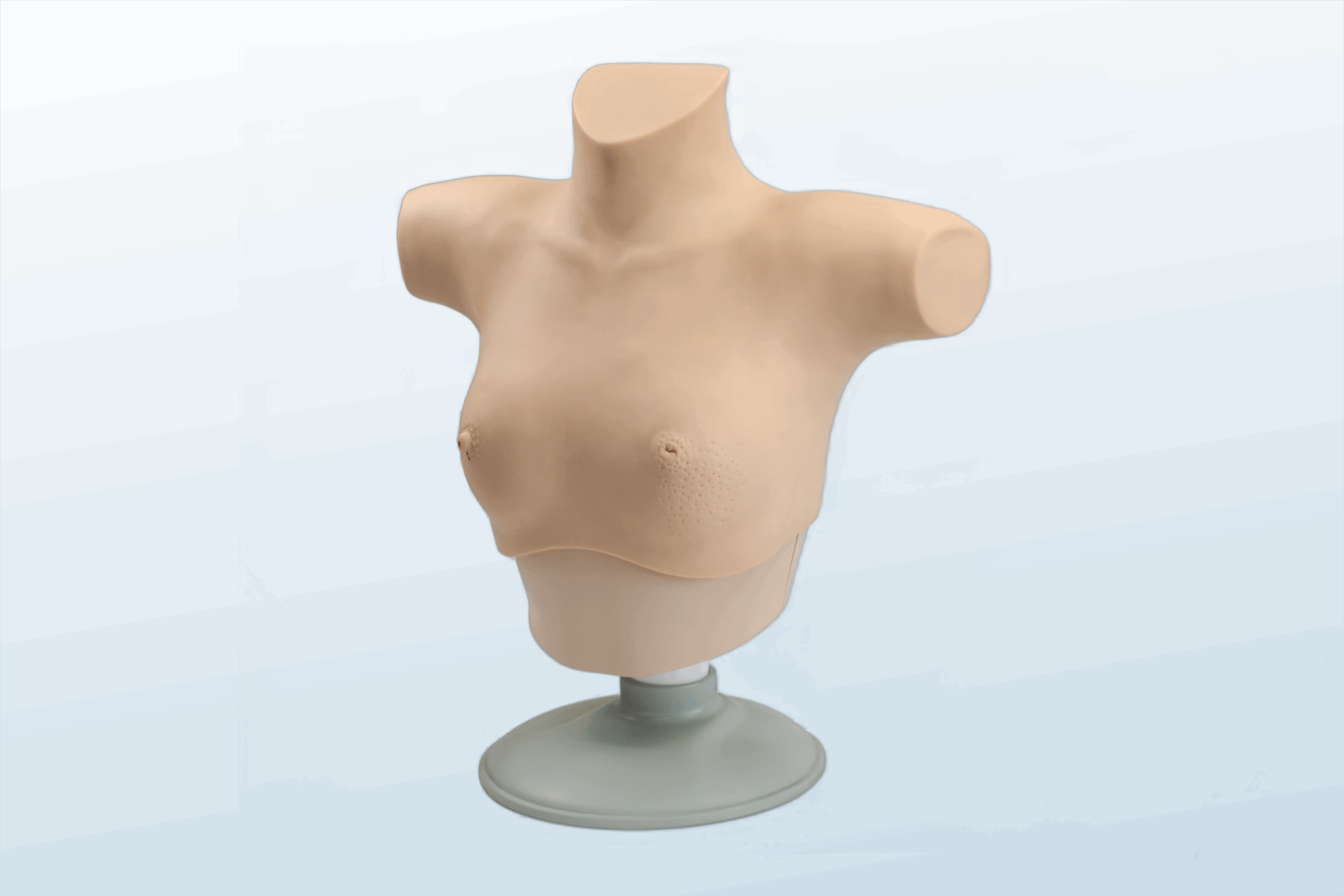 FREE SHIPPING:  Breast Examination Skills Trainer