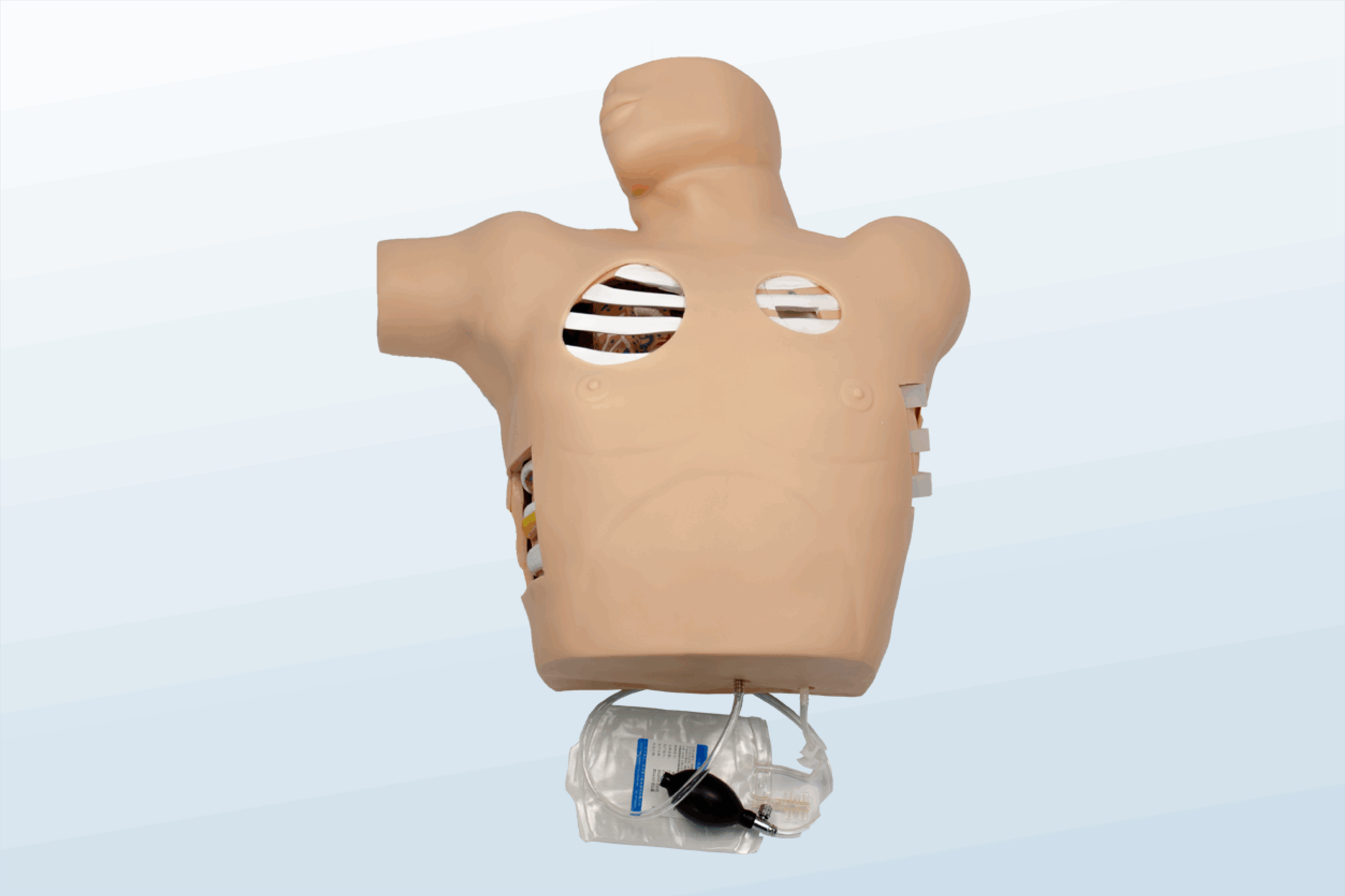 FREE SHIPPING:  Chest Drain &amp; Needle Decompression Trainer