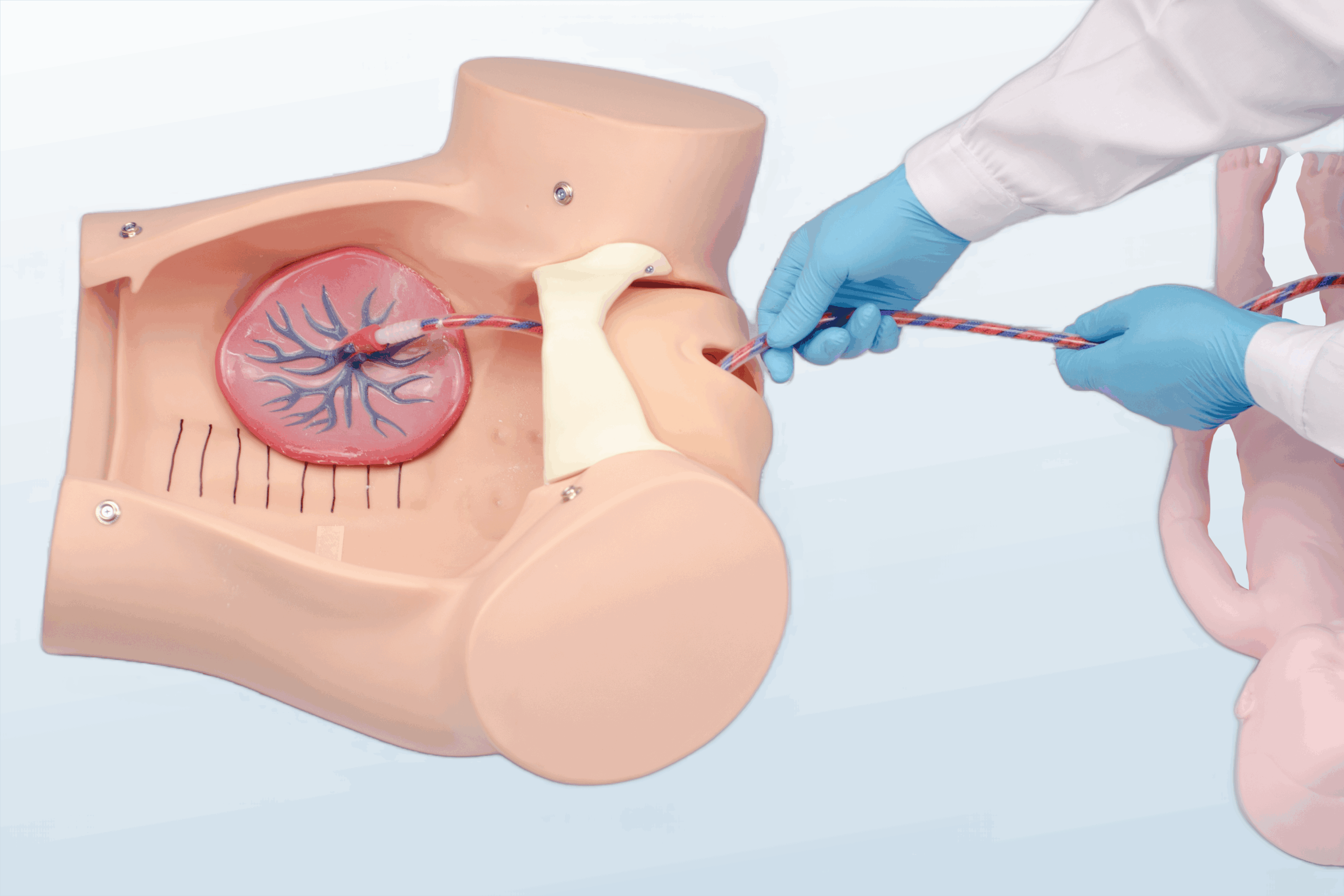 FREE SHIPPING:  Advanced Childbirth Simulator