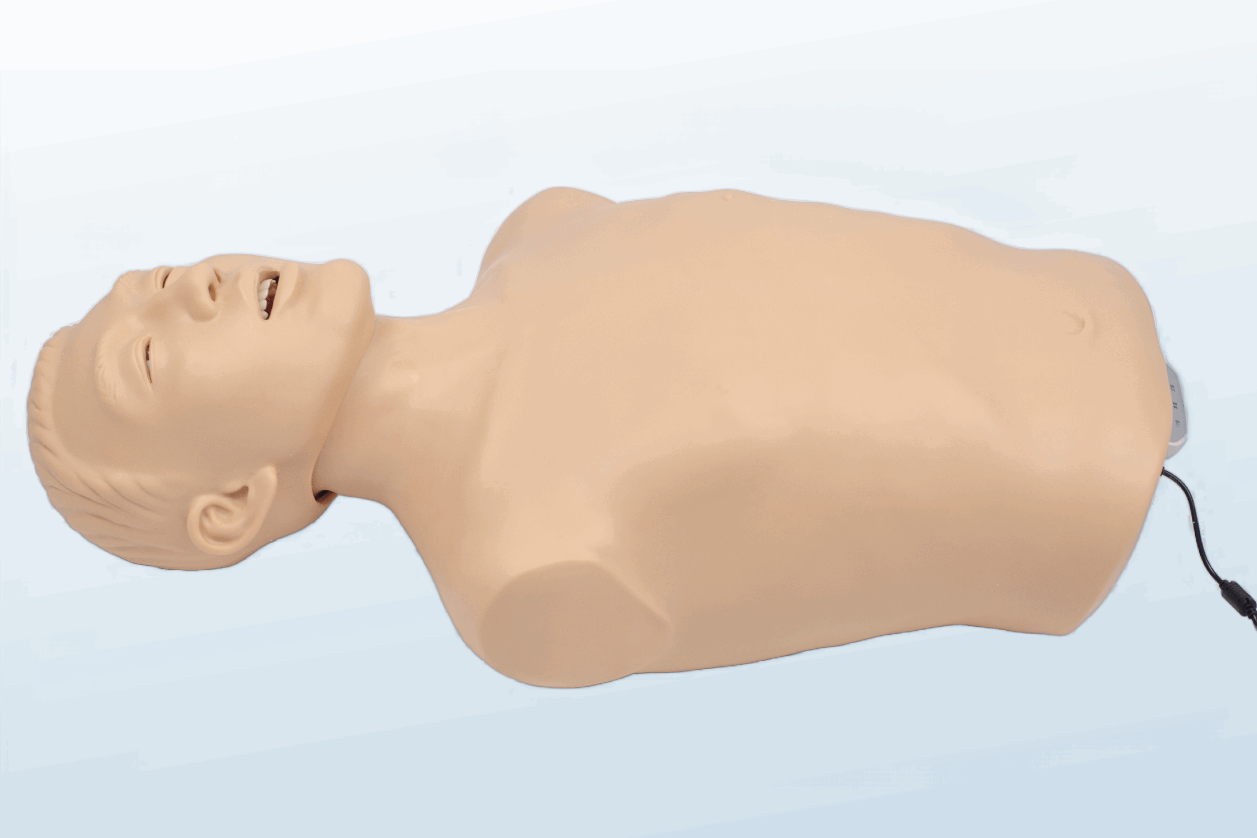 FREE SHIPPING:  Airway Management Torso($899.99/pc,MOQ 1 pc)