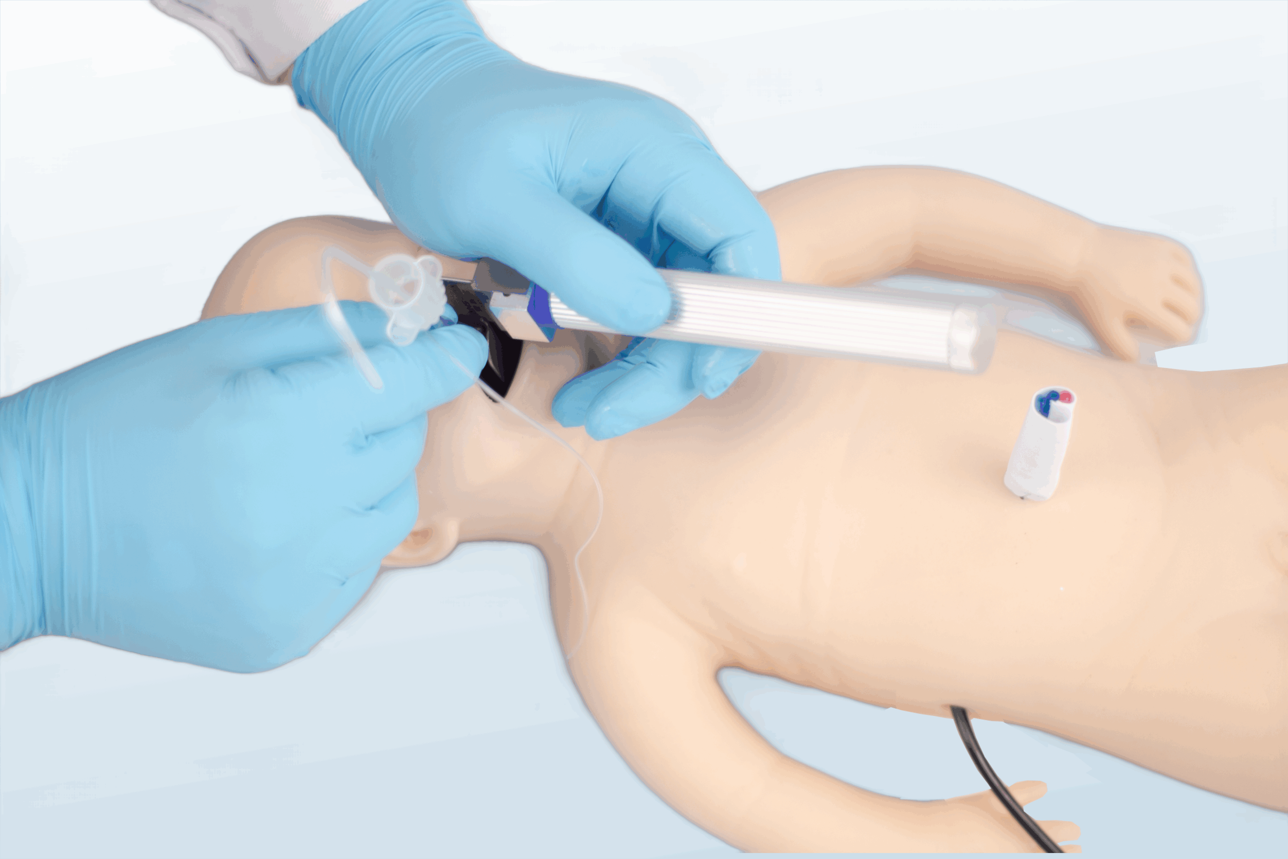 FREE SHIPPING:  Neonate Airway Management Manikin