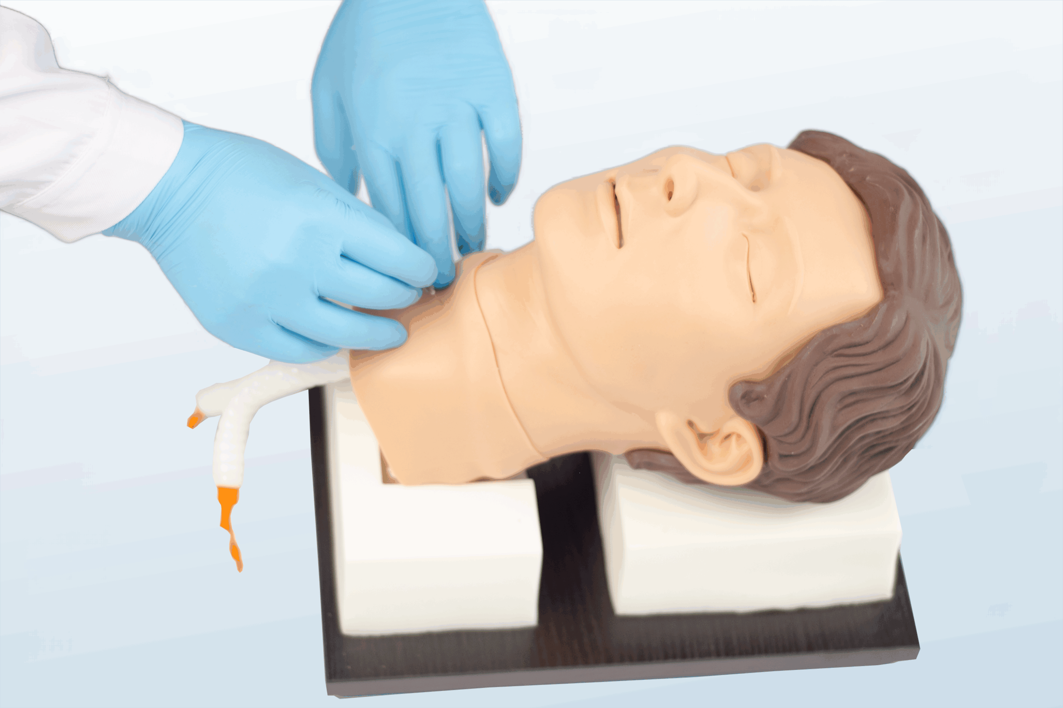 FREE SHIPPING:  Cricothyrotomy and Cricothyroidcentesis Model