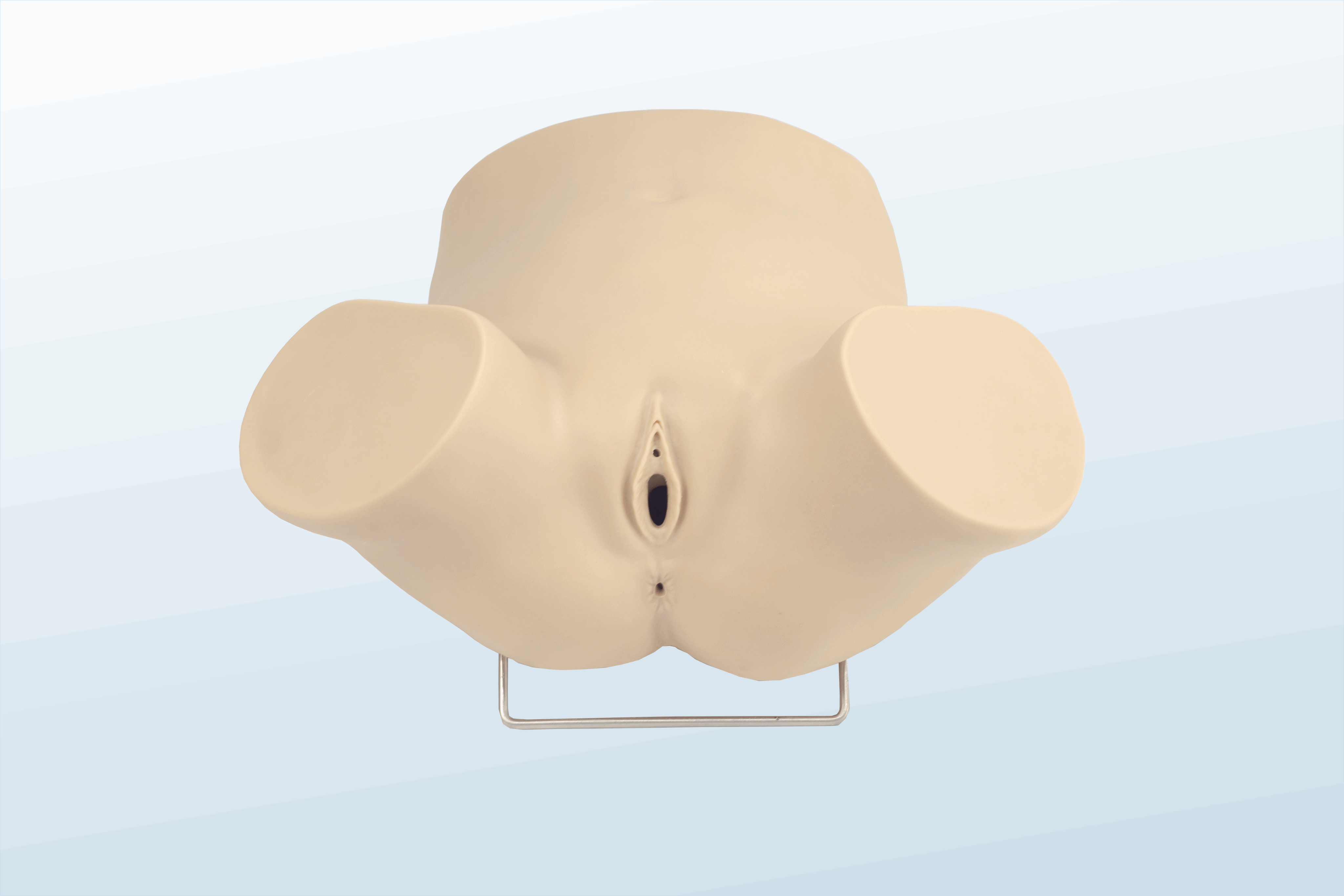 FREE SHIPPING:  Dilatation and Curettage Simulator