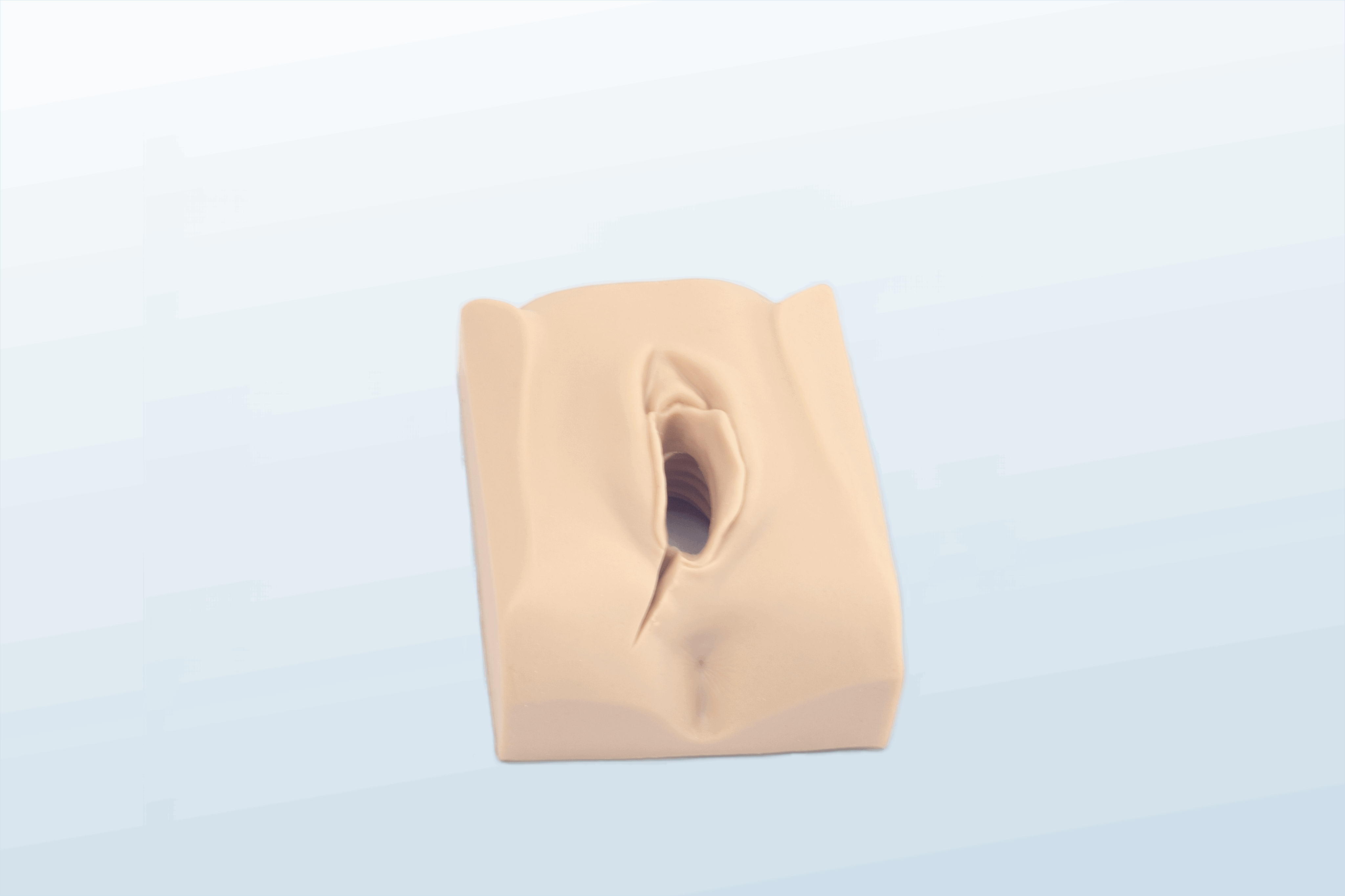 FREE SHIPPING:  Episiotomy and Suturing Training Simulator