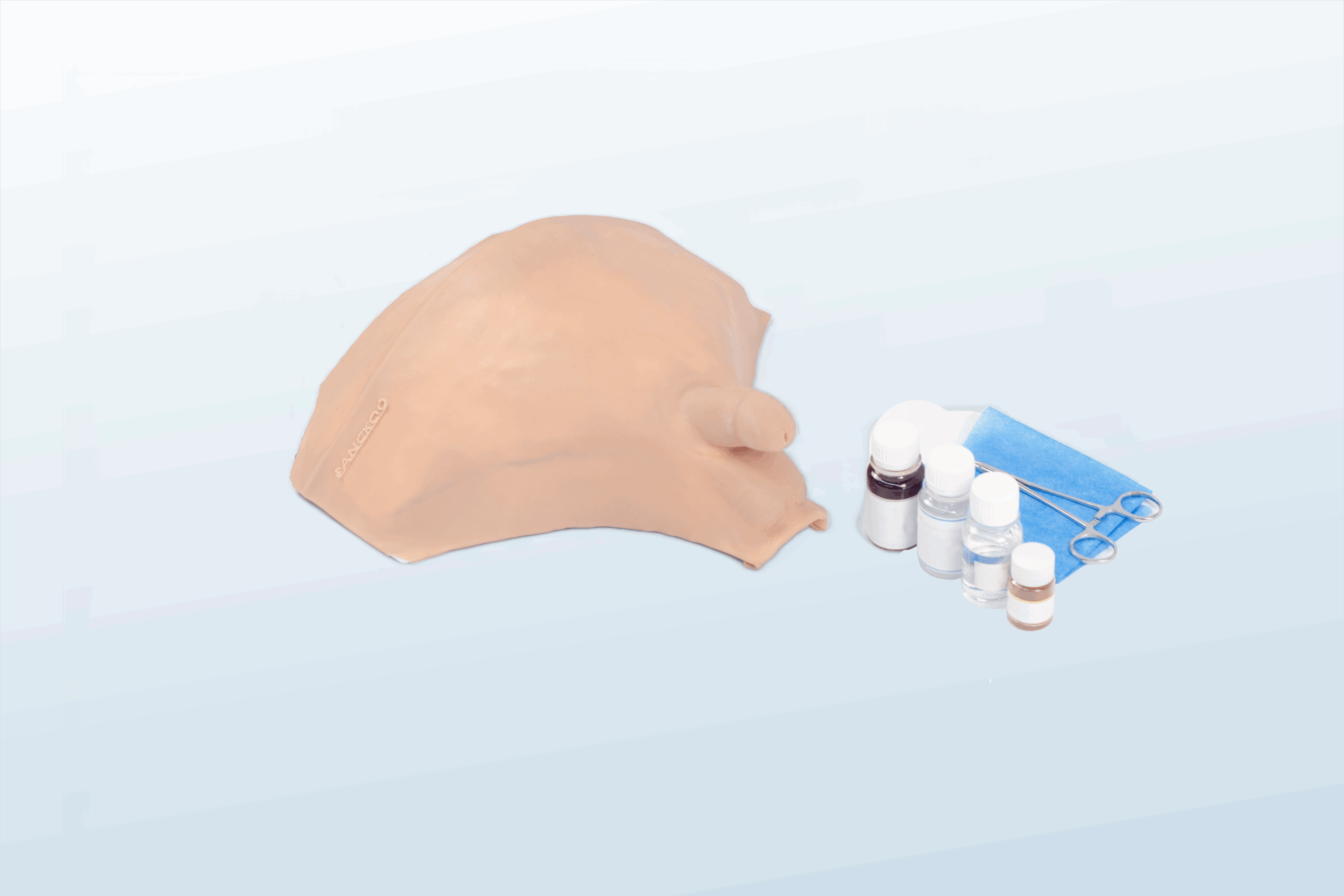 FREE SHIPPING:  Decompressive Cystocentesis/Bladder Puncture  Training Simulator