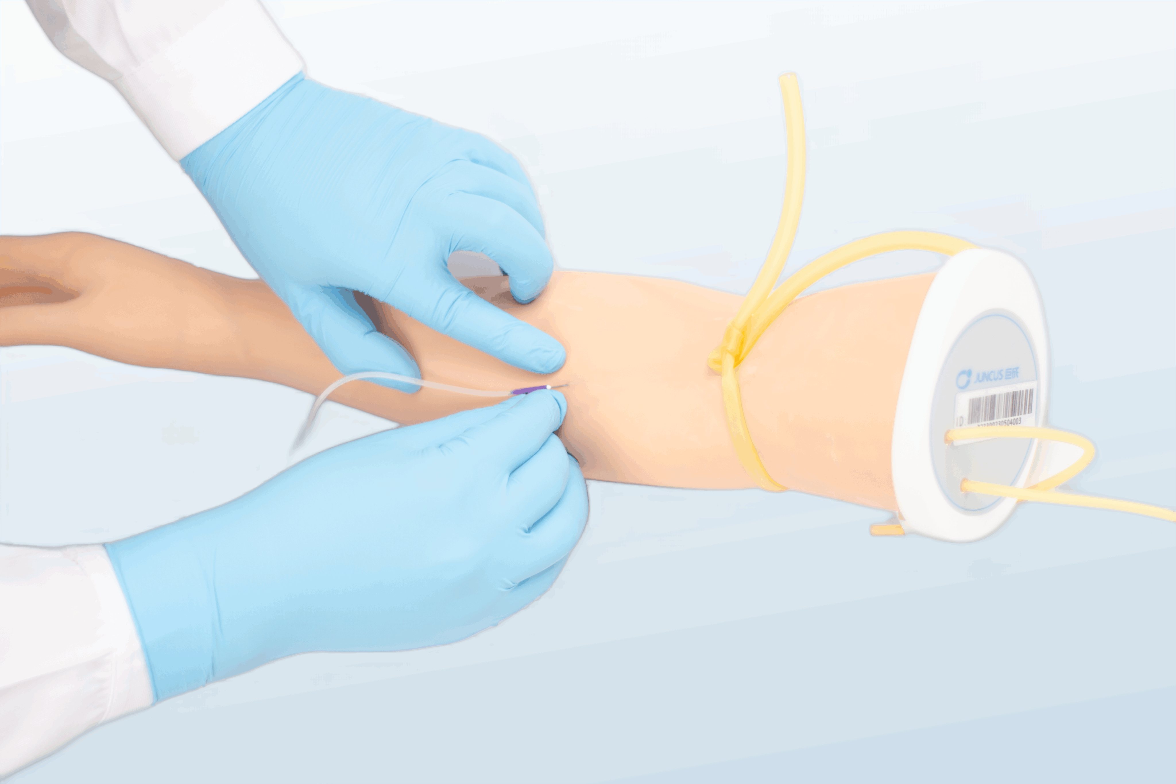 FREE SHIPPING:  IV Training Arm-Basic
