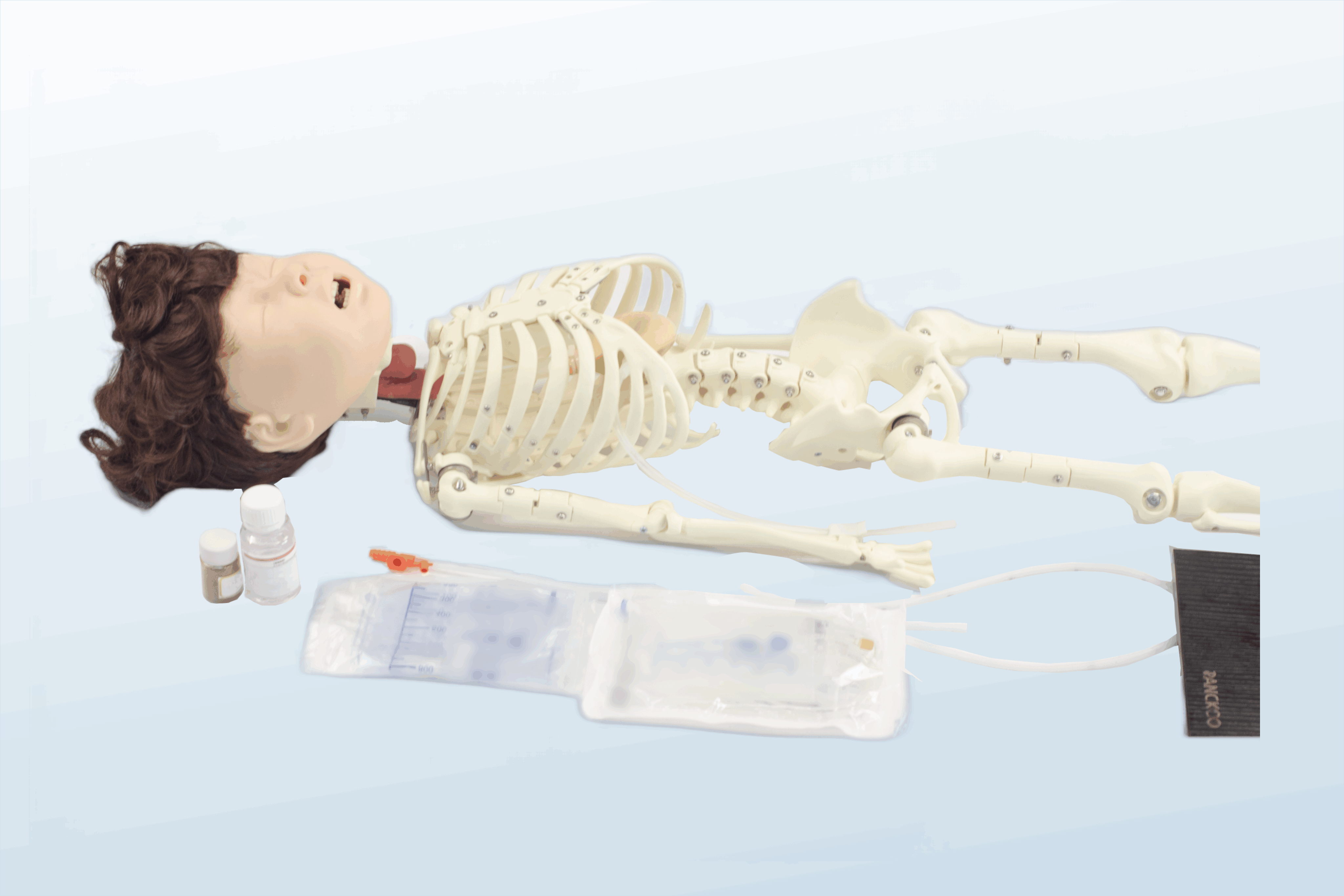 FREE SHIPPING:  Pediatric Transparent Nasal Feeding and Gastric Lavage Model