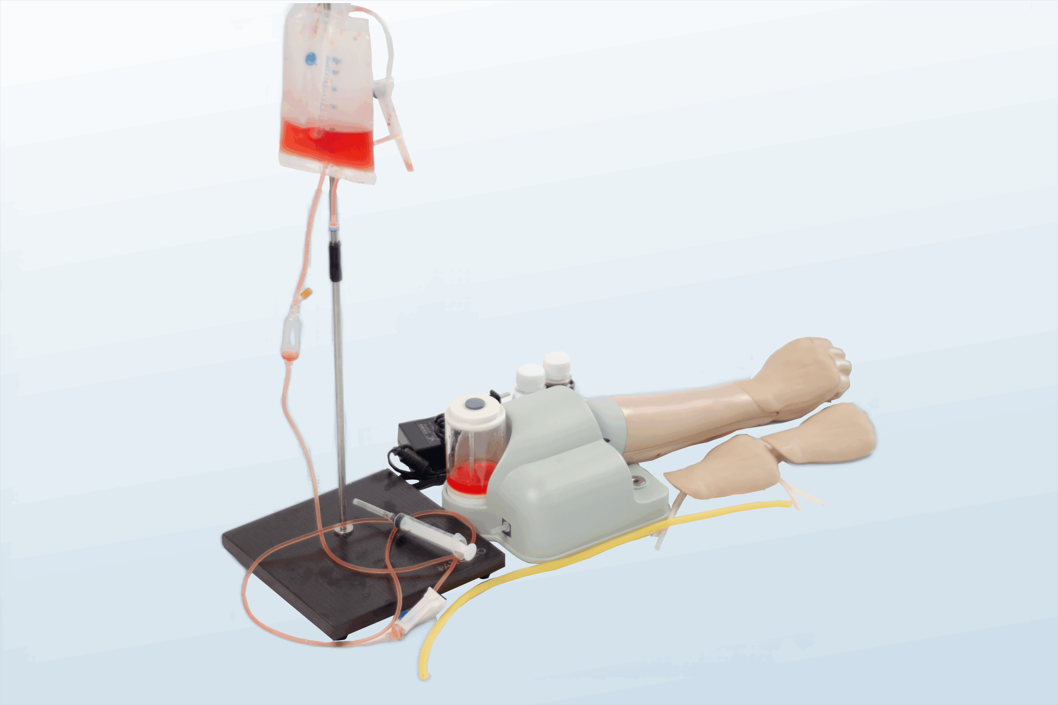 FREE SHIPPING:  Dorsal Metacarpal  Intravenous Infusion Model