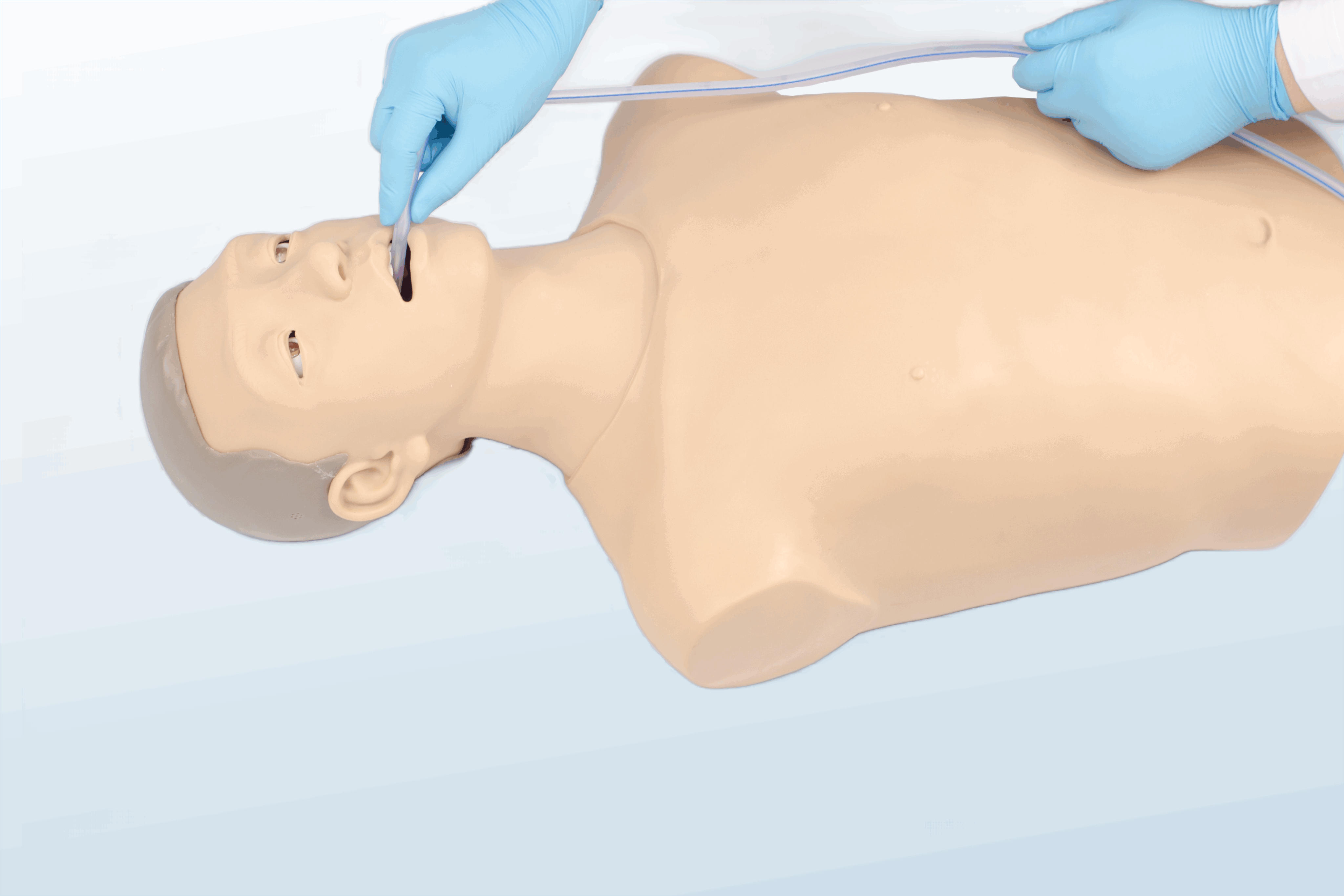 FREE SHIPPING:  Gastric Lavage Trainer