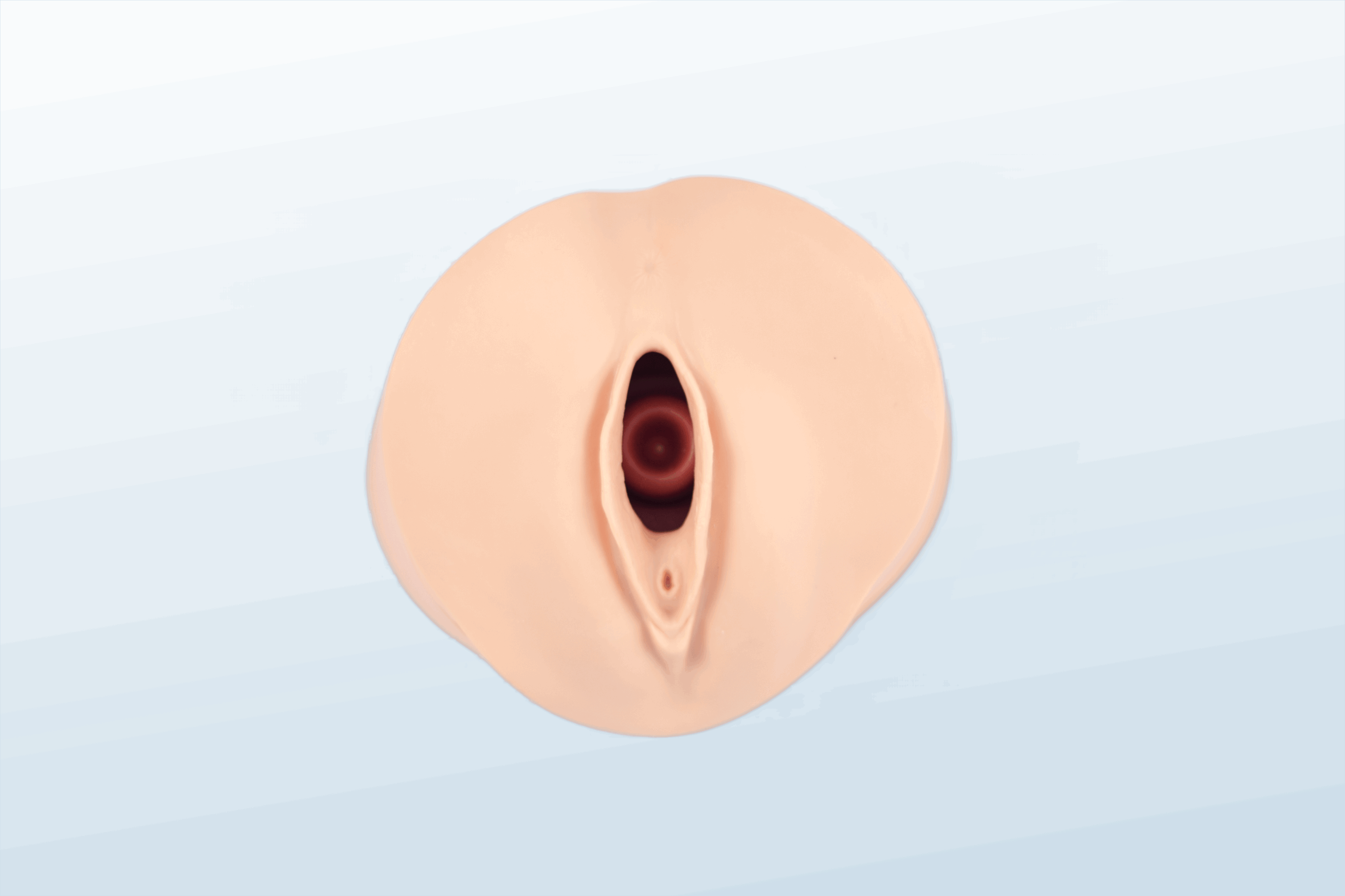 FREE SHIPPING:  Cervical Dilatation/Effacement Model
