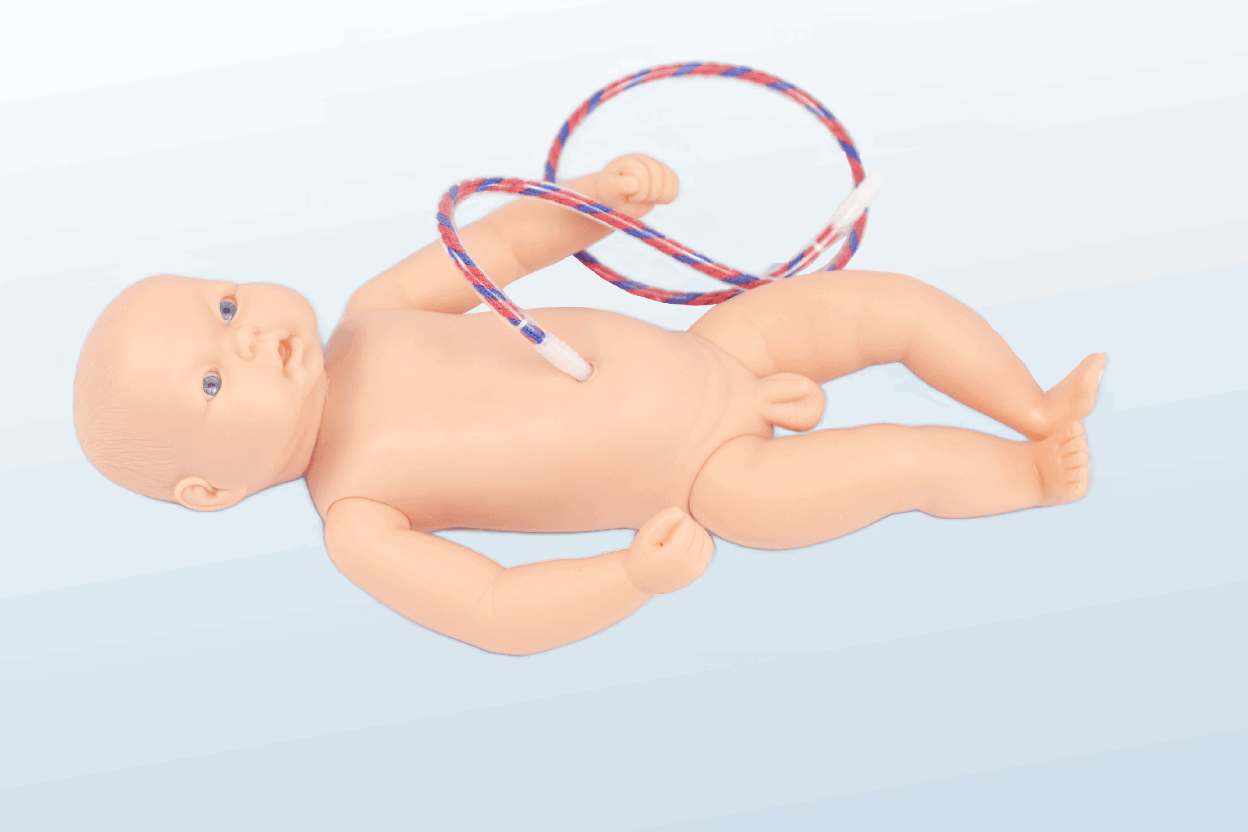 FREE SHIPPING:  Neonate Umbi Care Manikin