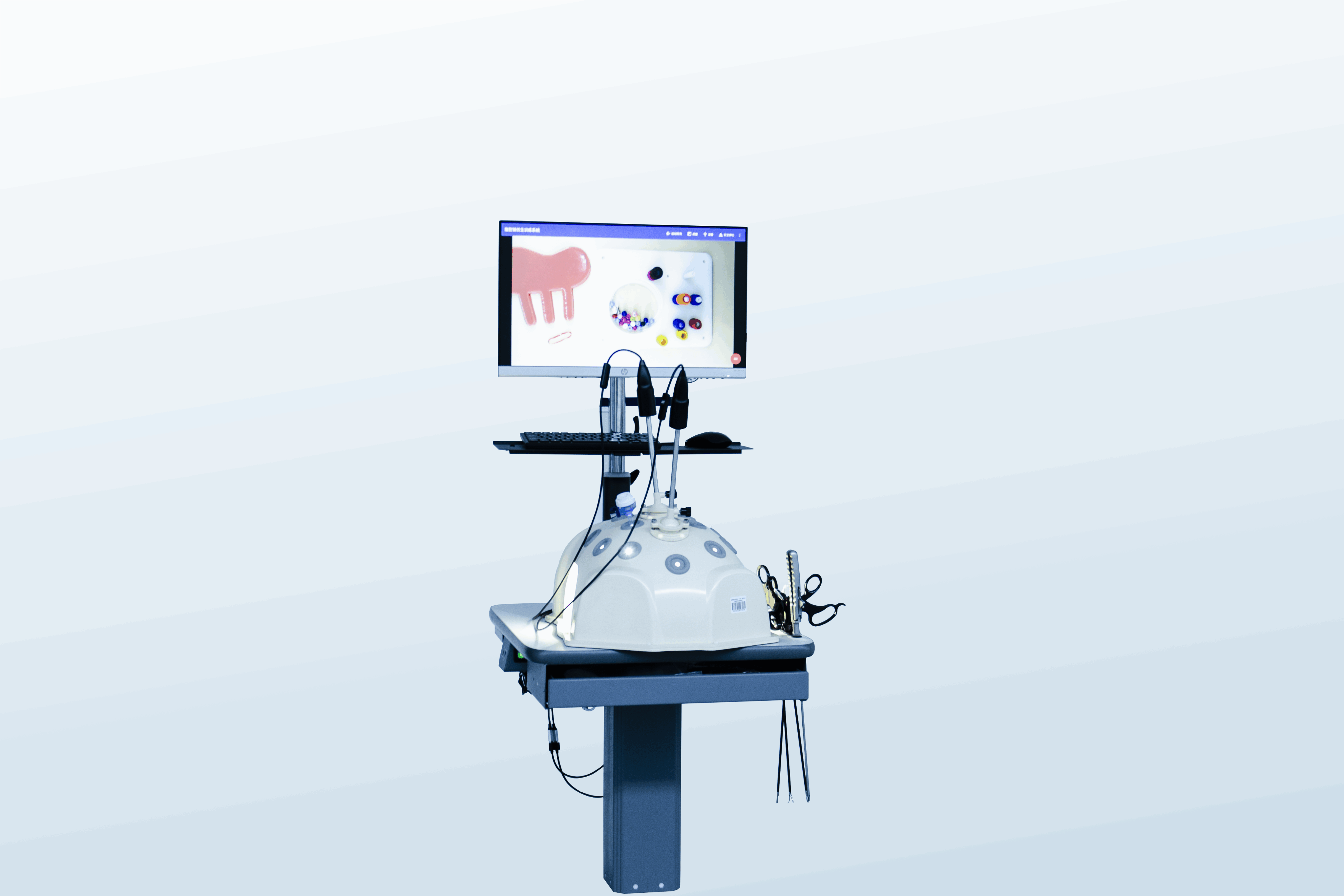 Panckoo Minimally Invasive Training System Model PC-SUE020