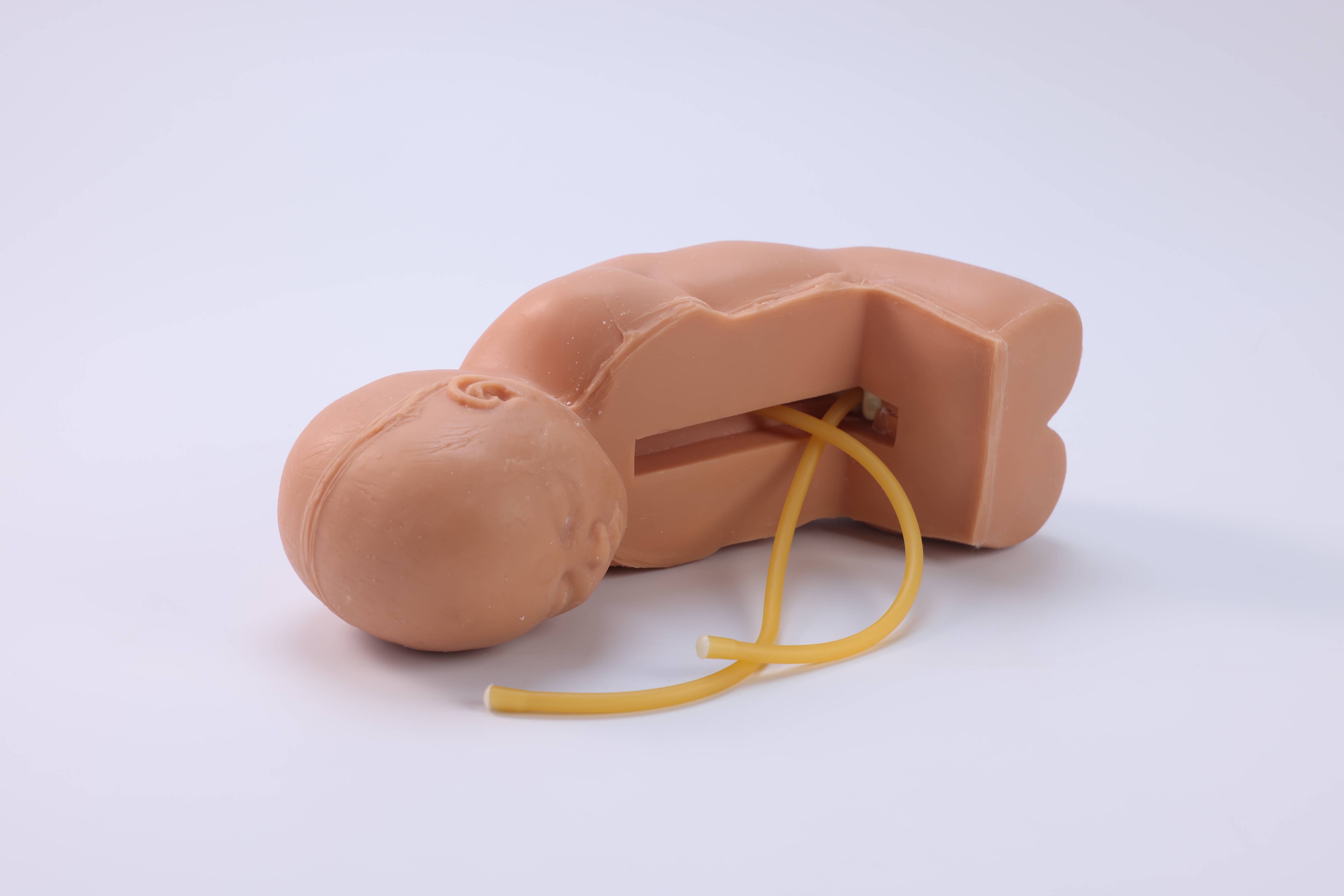 Neonatal Lumbar Puncture Simulator