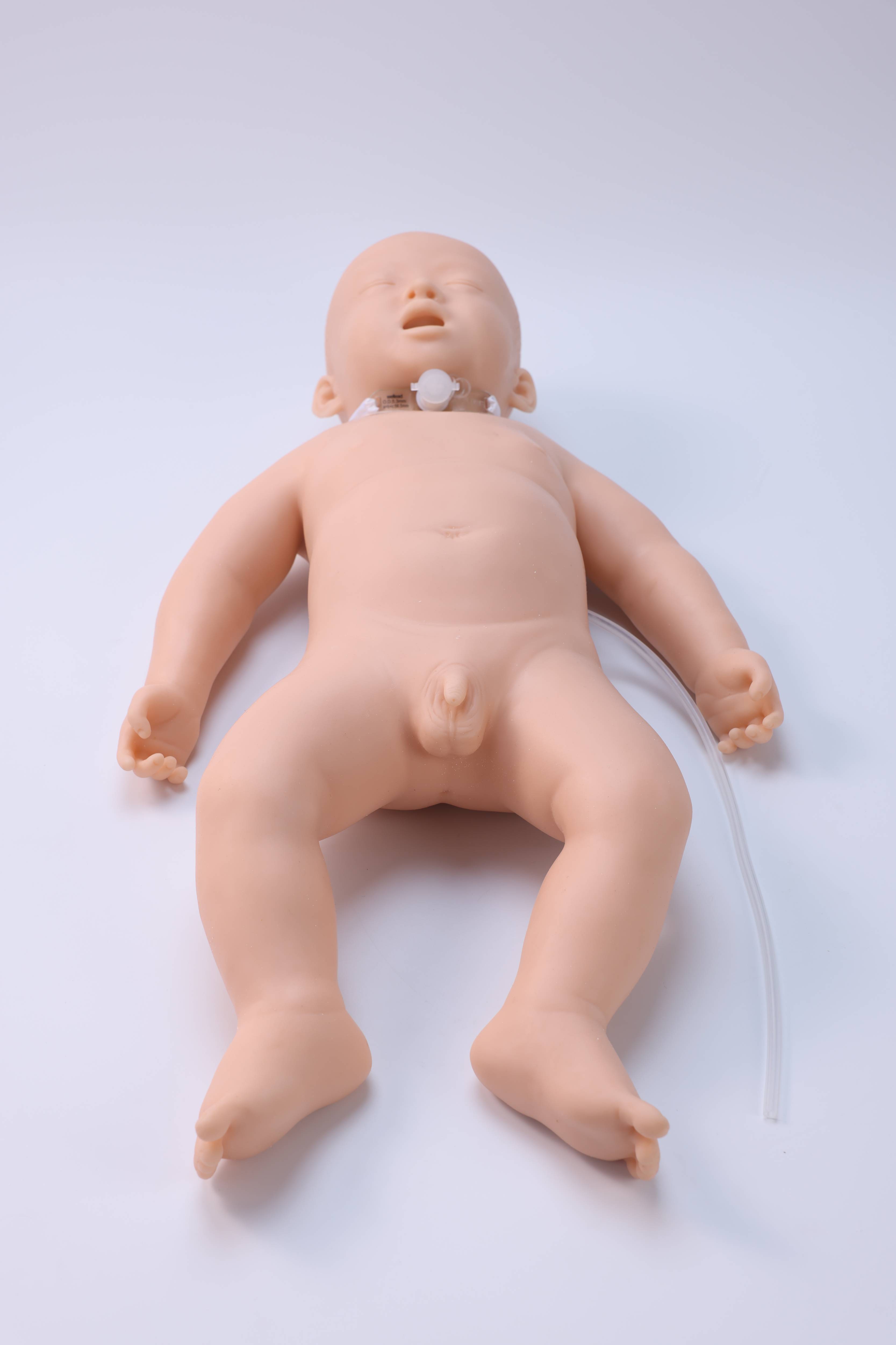 Infant Tracheotomy Care Model