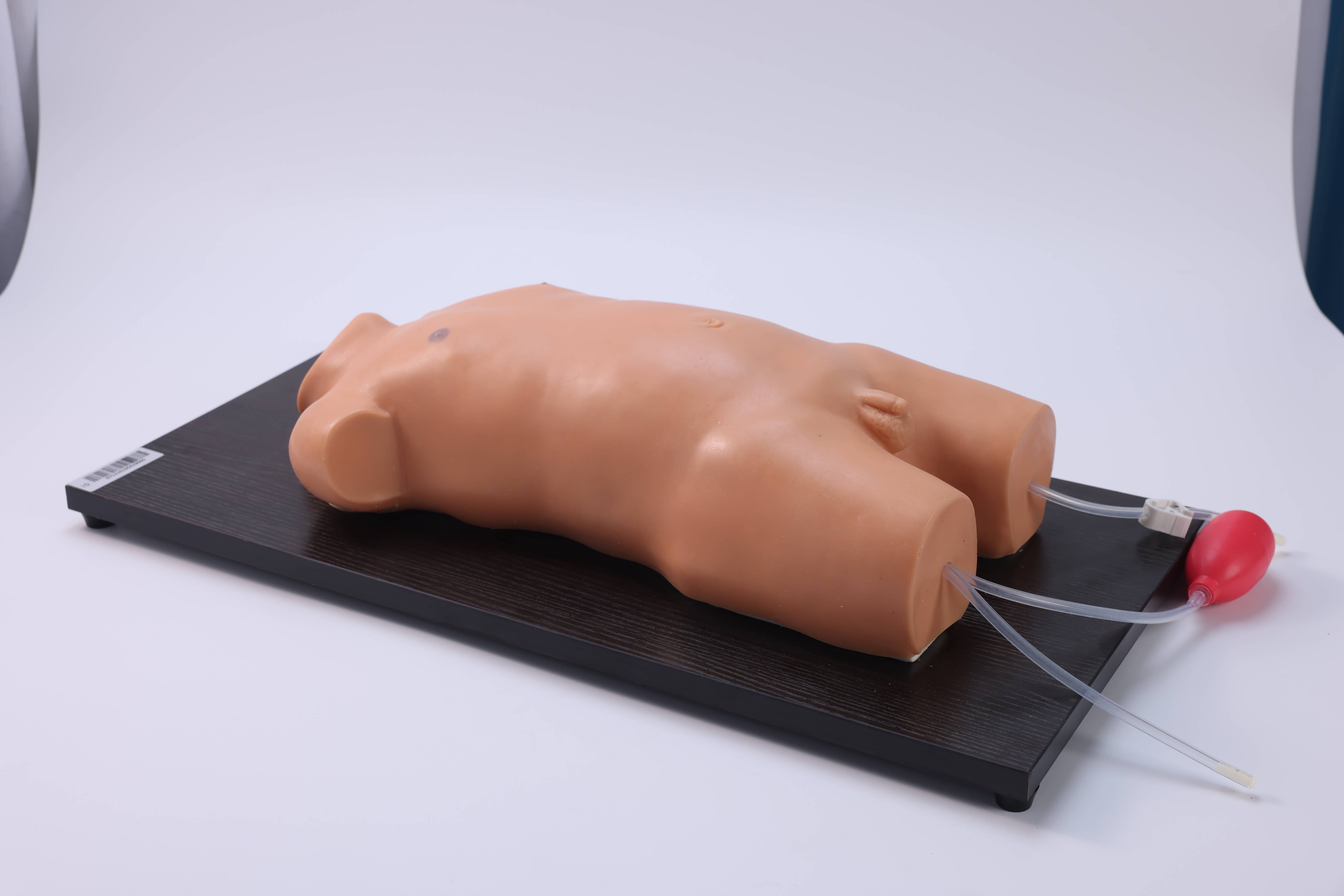 Pediatric  Femoral Vein and Artery Puncture Model