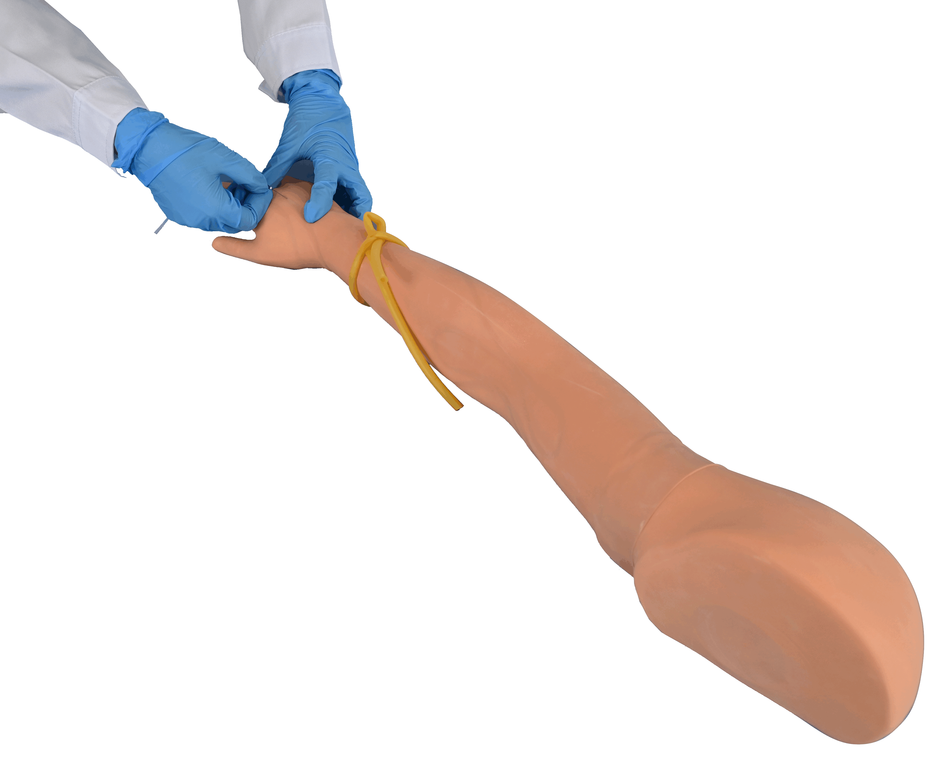 Advanced Venipuncture Arm