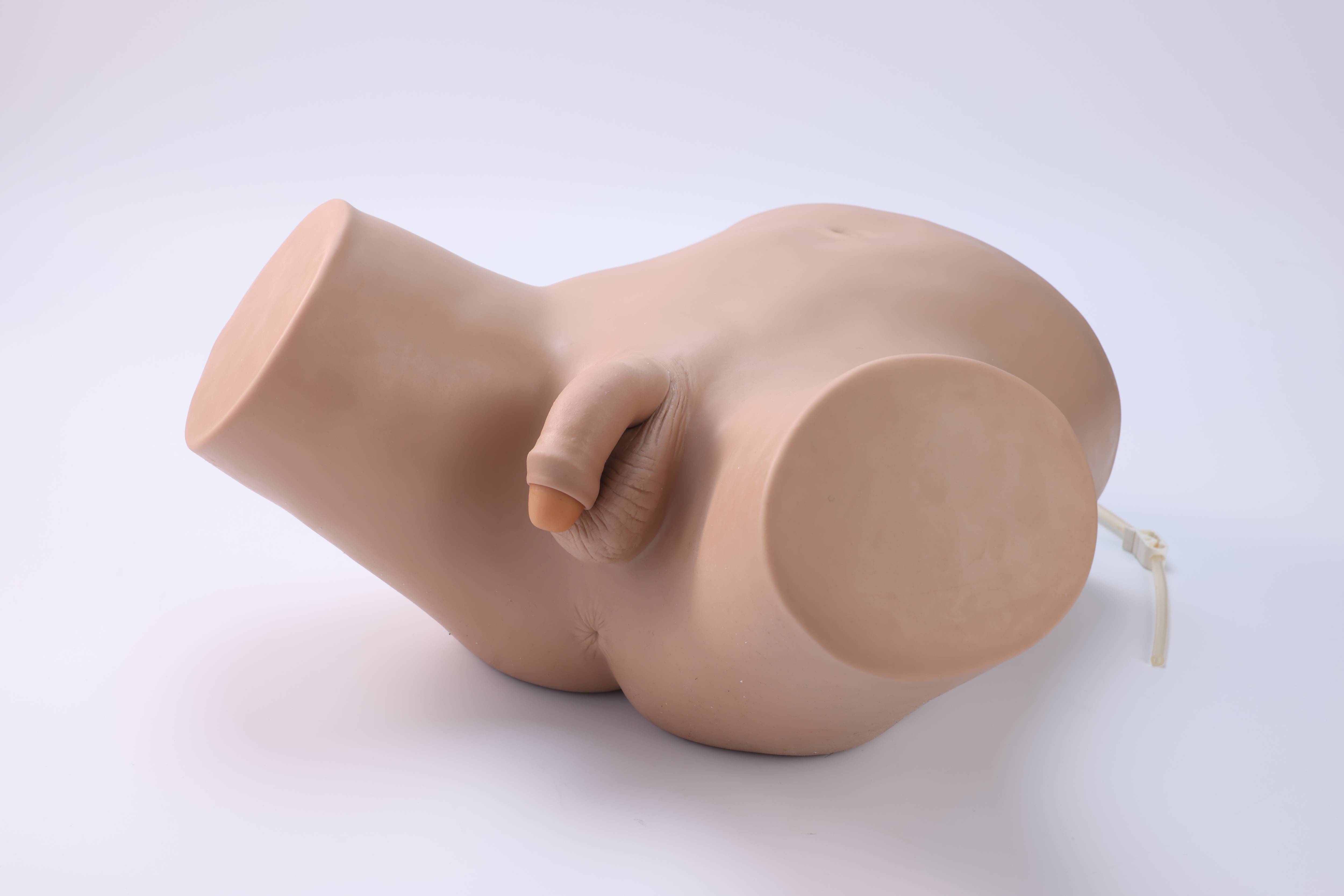 Male Catheterization Model