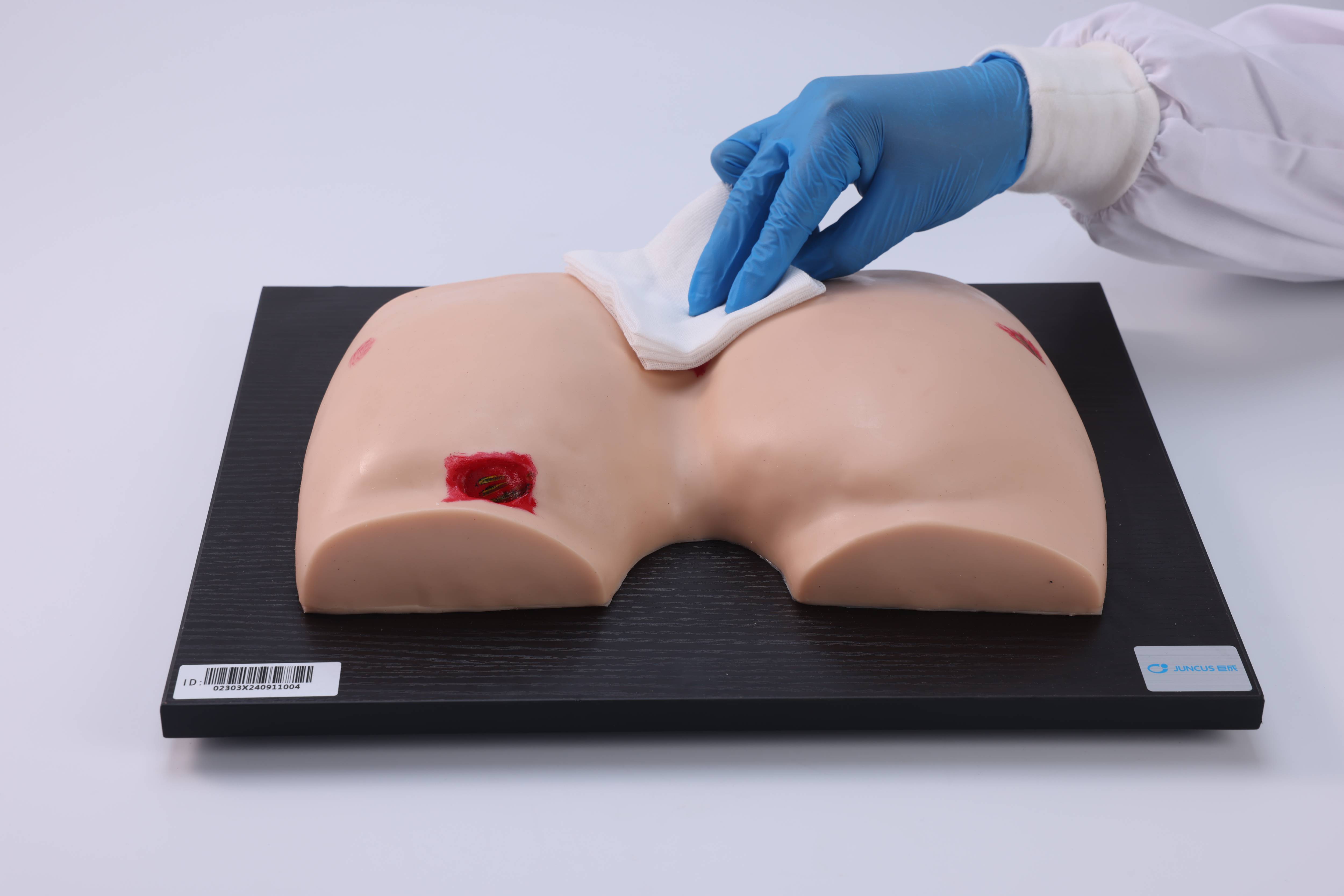 Pressure Ulcer/Bedsore Model