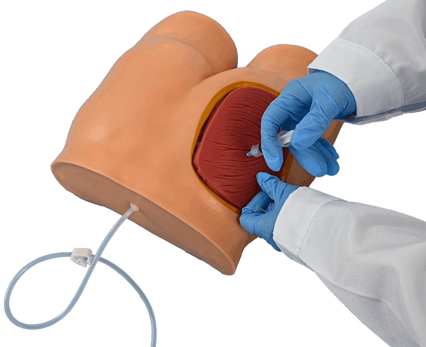 Buttock Injection Model