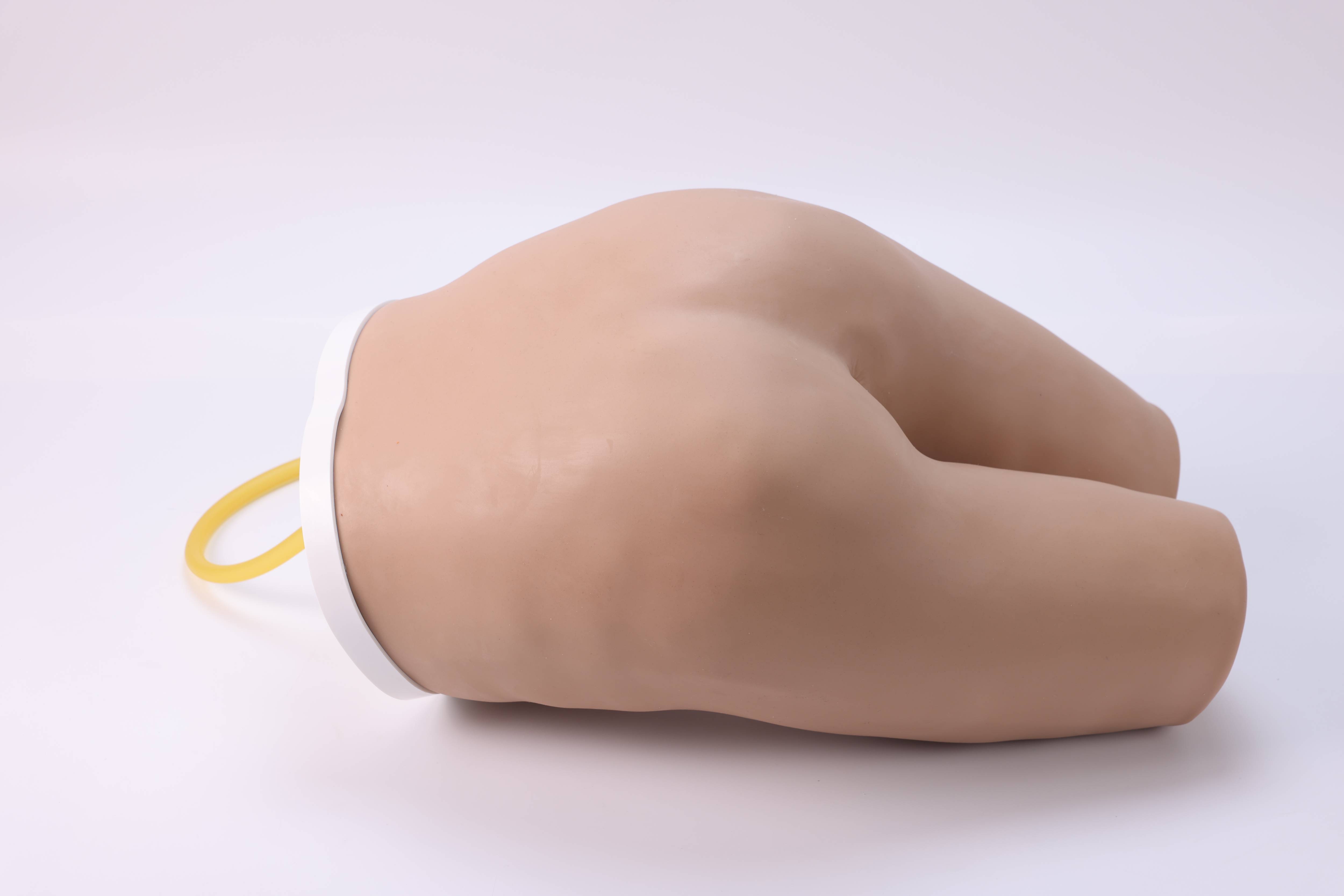 Enema Training Model