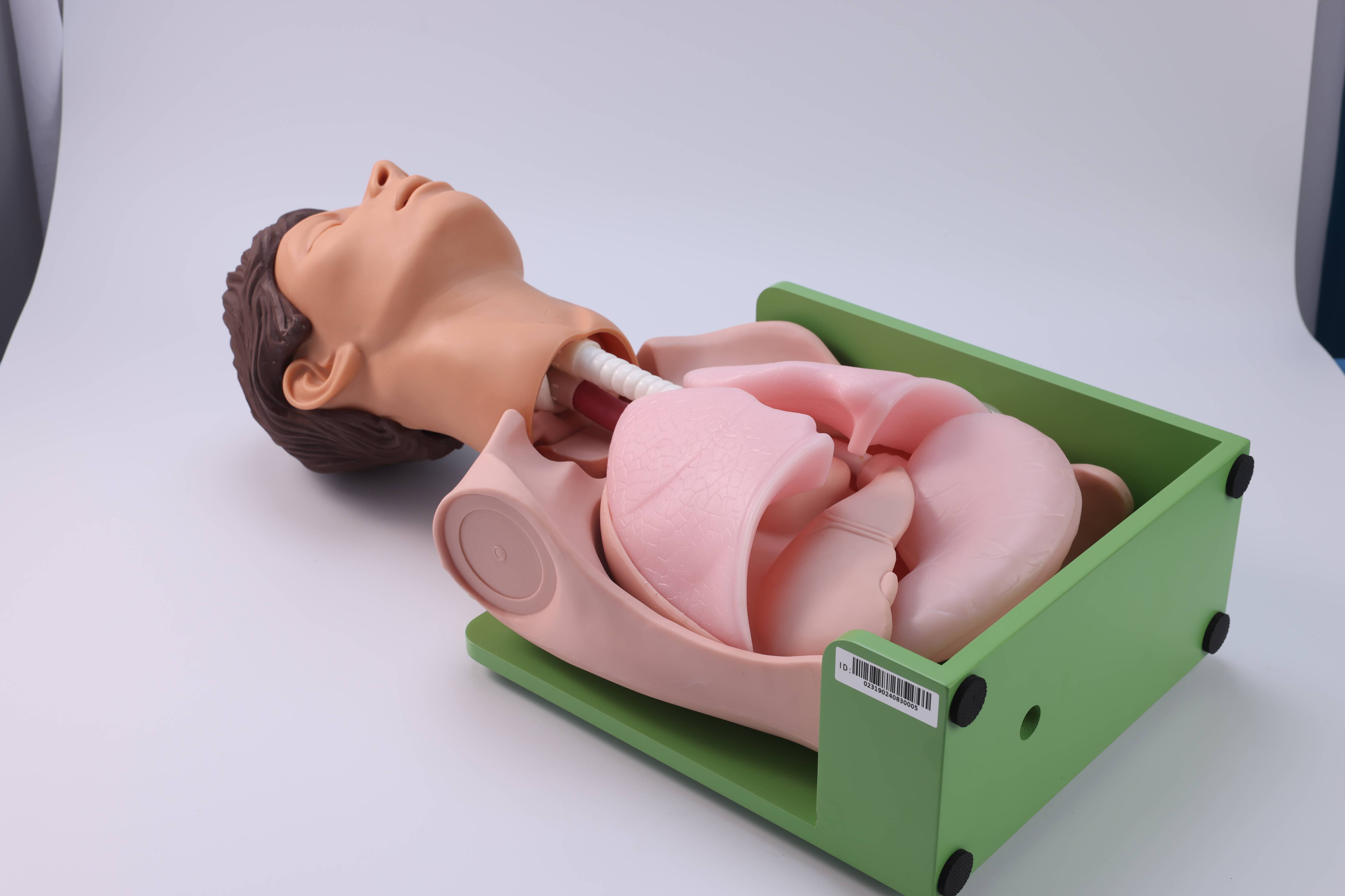 Gastric Lavage and Gastrointestinal Decompression Simulator