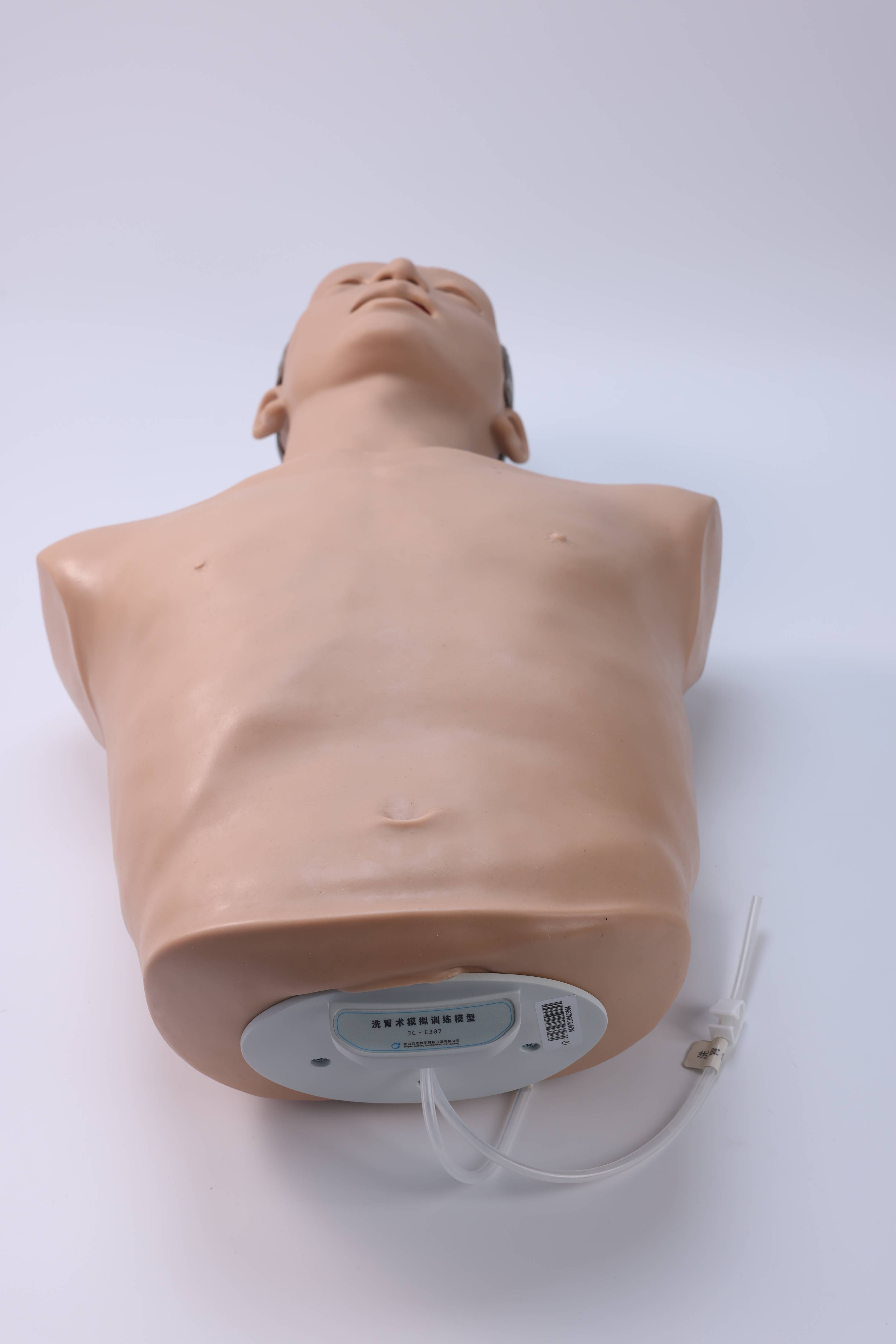 Gastric Lavage Training Model