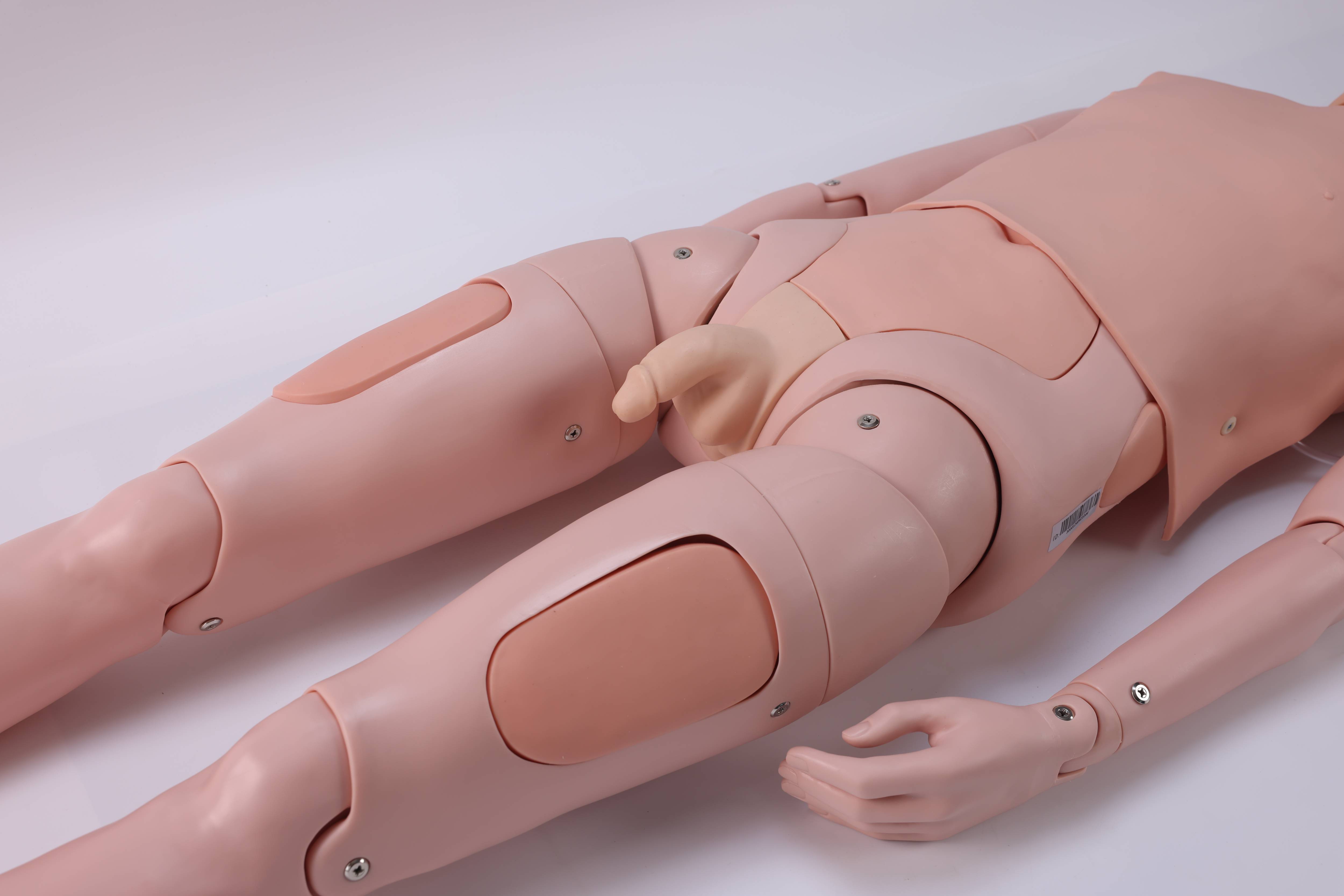 Detachable Nursing Manikin(Male/Female)
