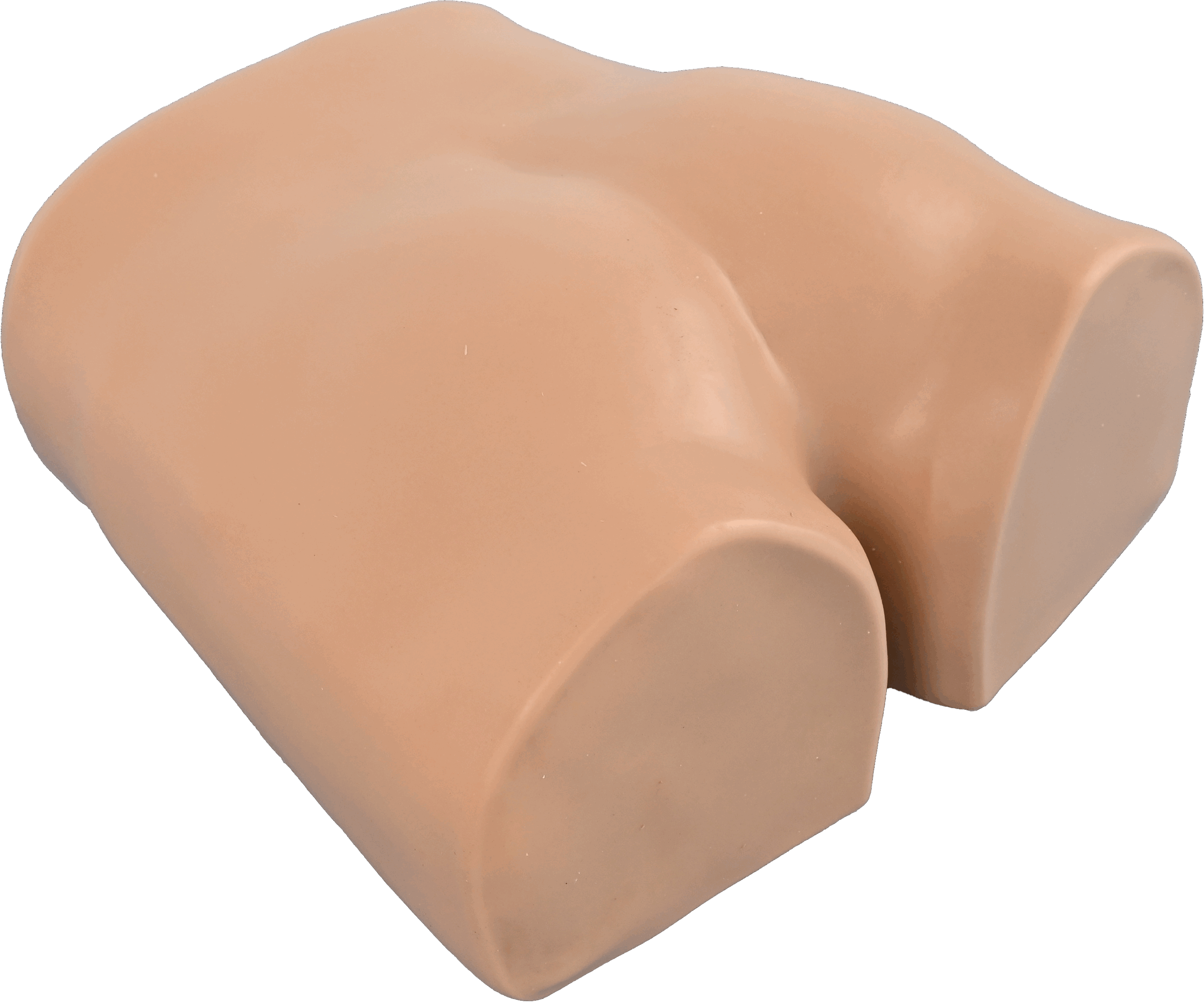 Buttock Injection Model