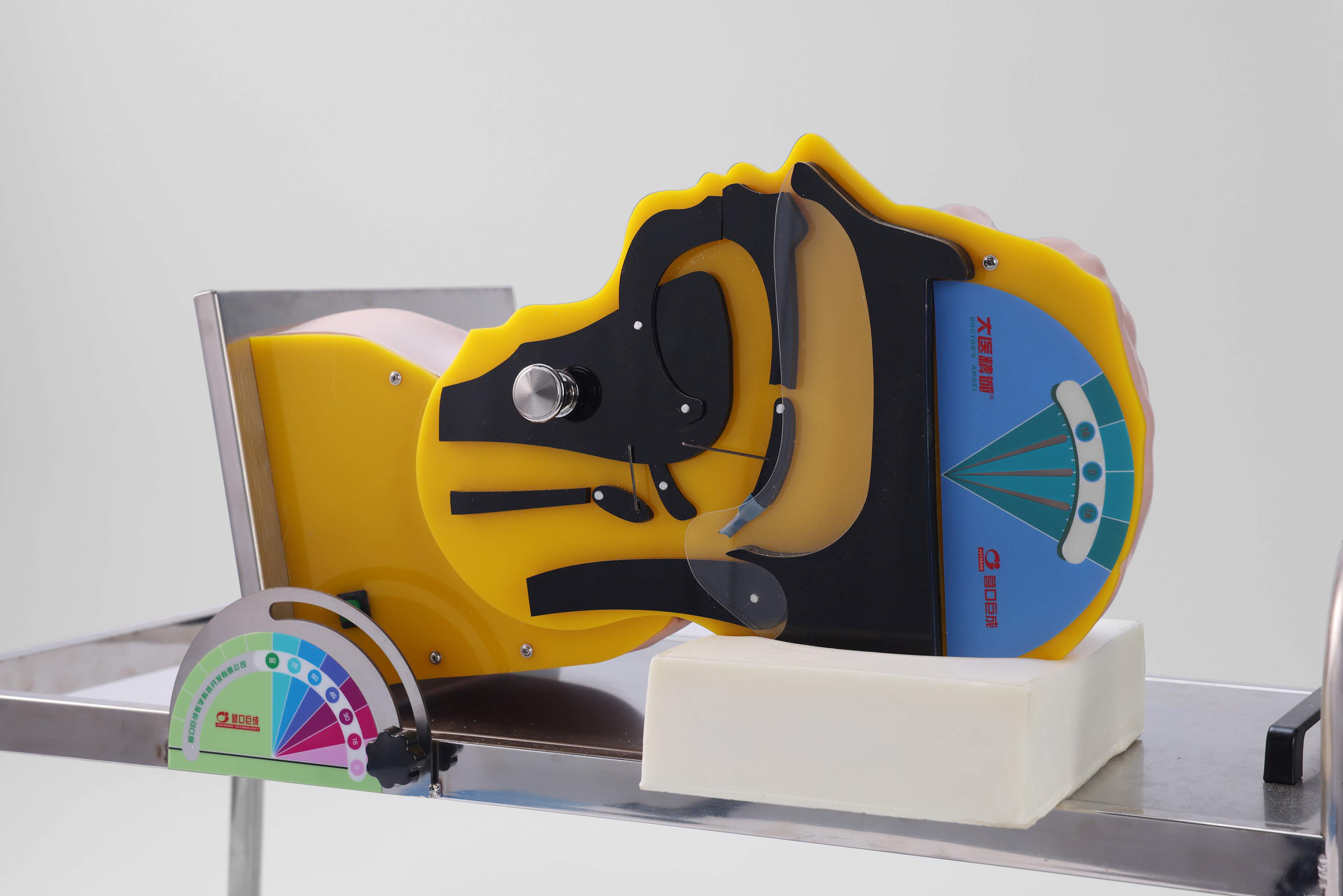 Swallowing and Breathing Mechanism Demonstration Model
