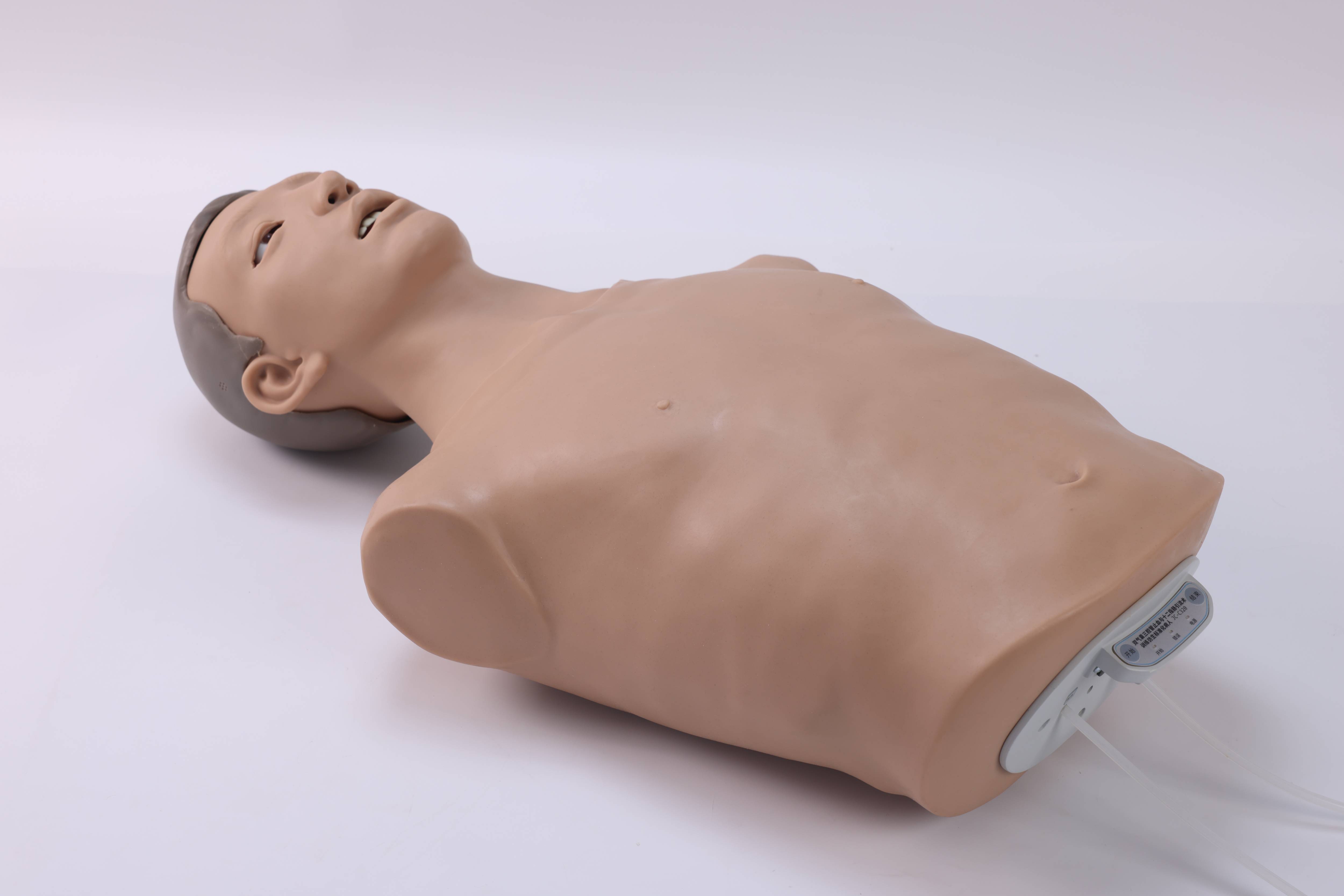 Dual Balloon Hemostasis and Duodenal Drainage Training Simulator