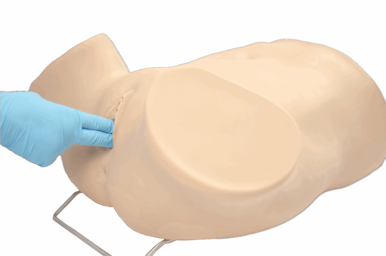 Advanced Gynecologic Skills Simulator