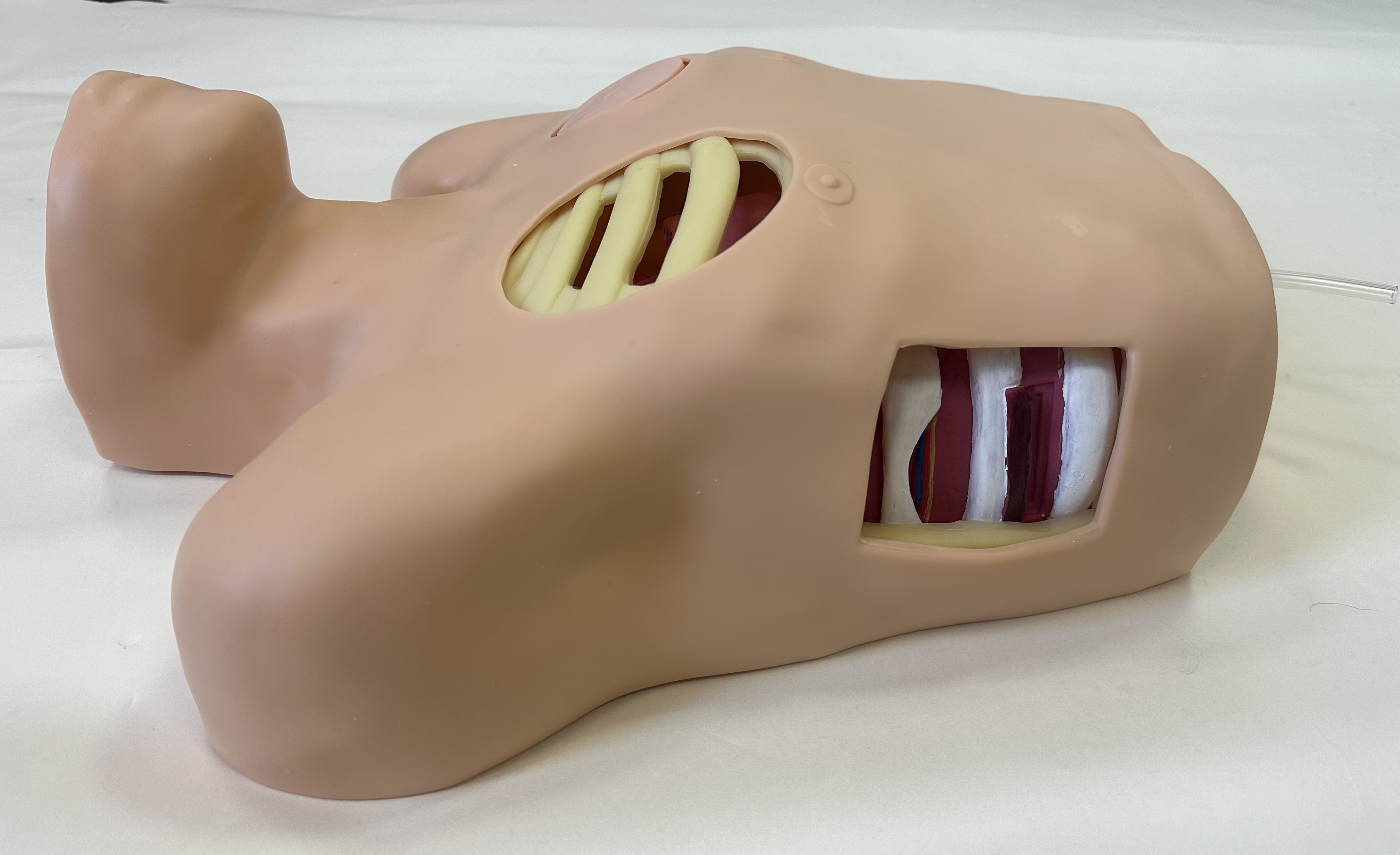 Chest Drain &amp; Needle Decompression Trainer